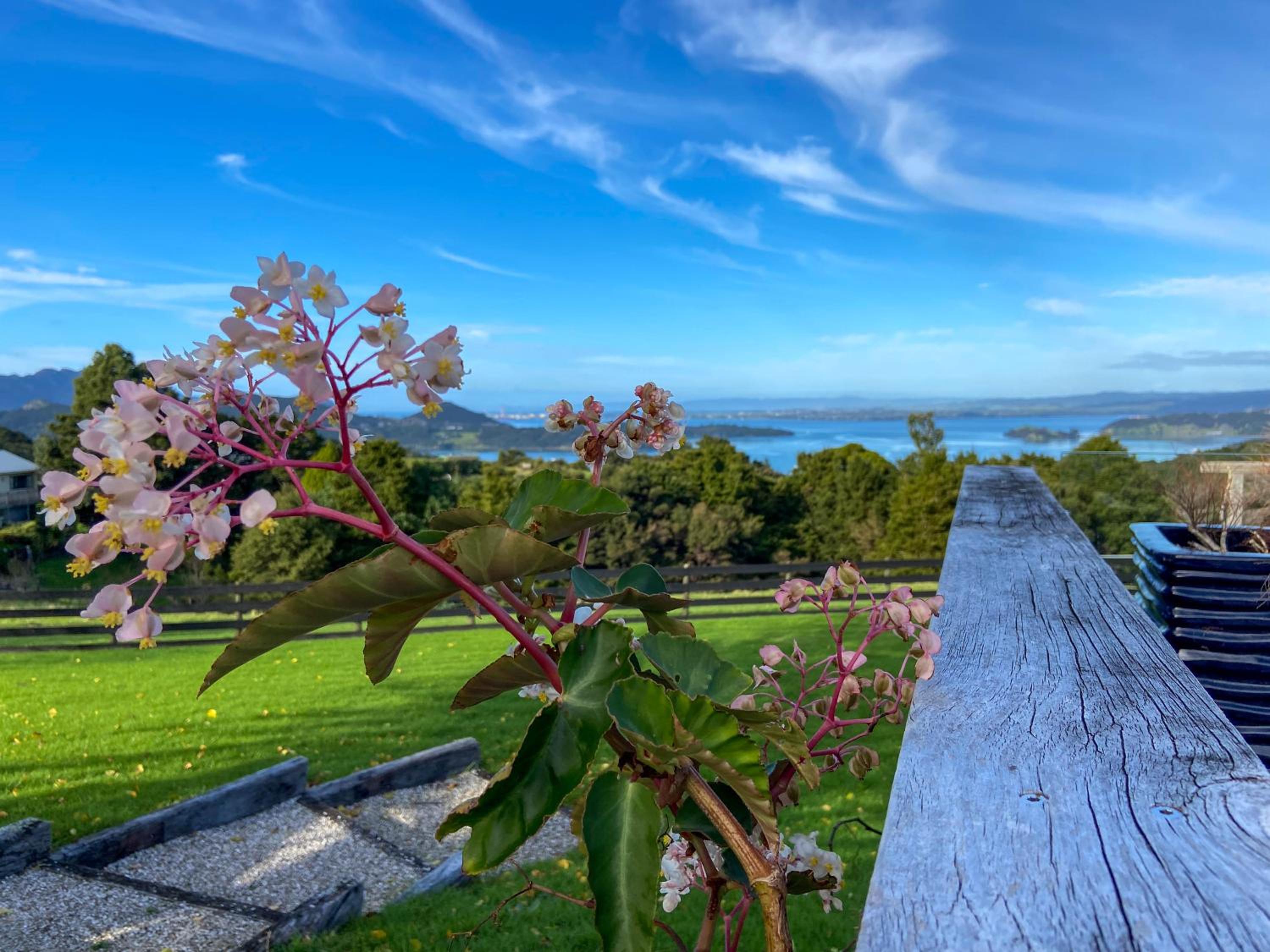 Kauri Villas