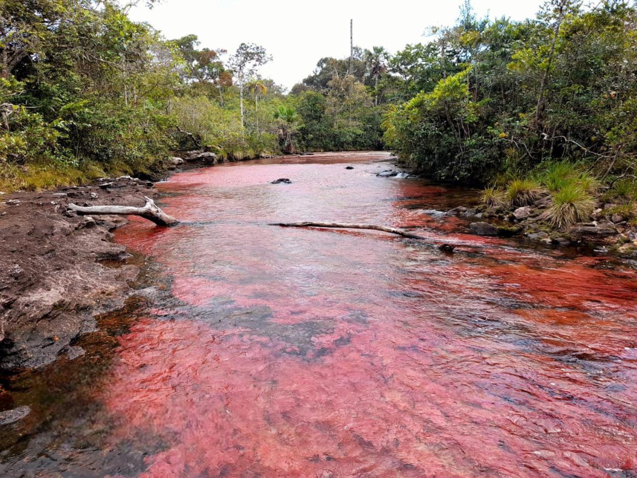 Hotel Ecologico Makalombia