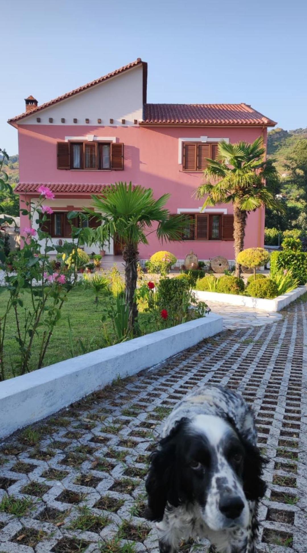 Guesthouse Ndroq