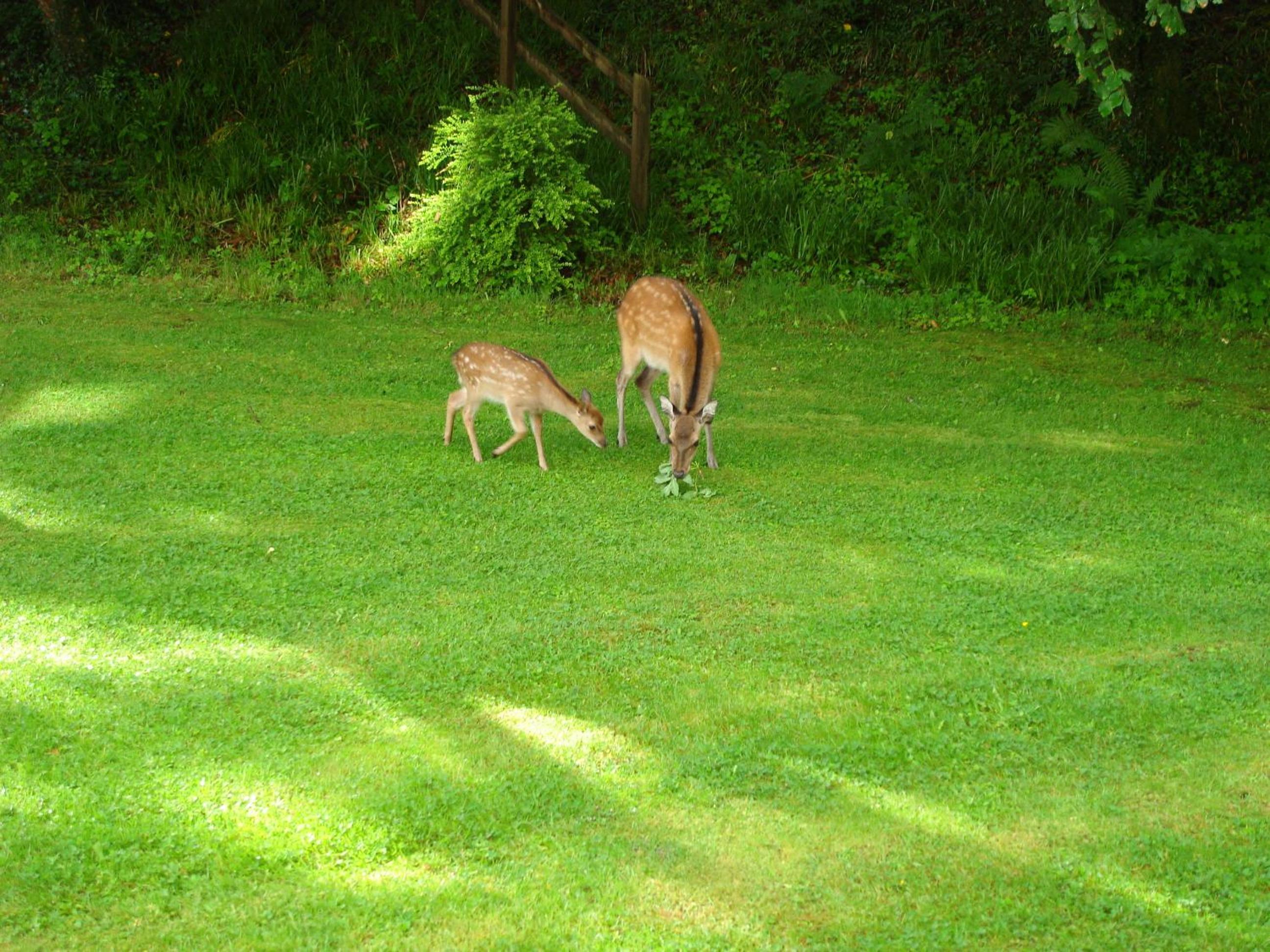 Photo 67