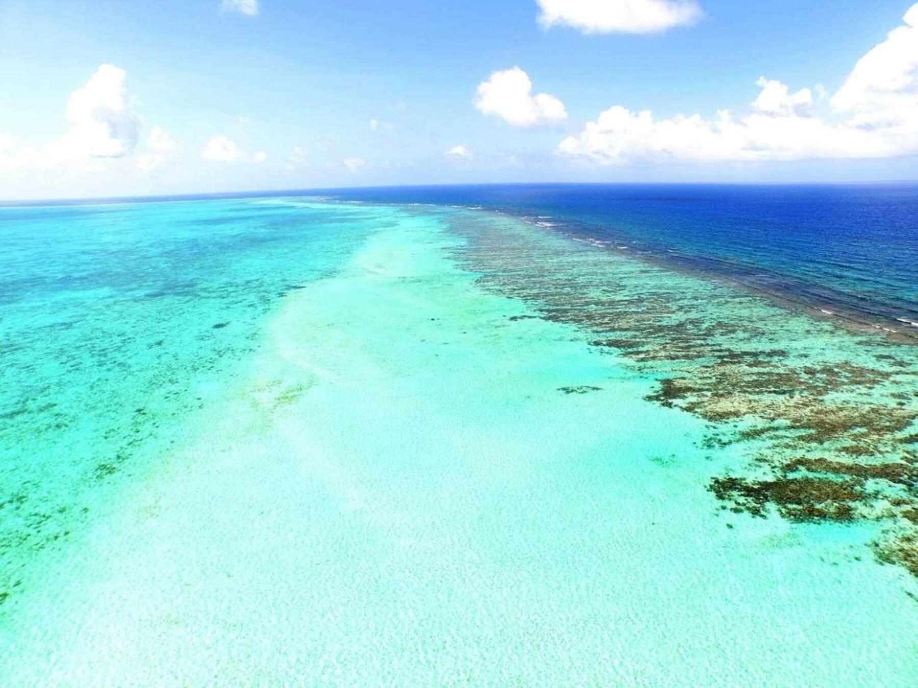 Placencia Sailing Catamaran Day Charter « Gingembre »