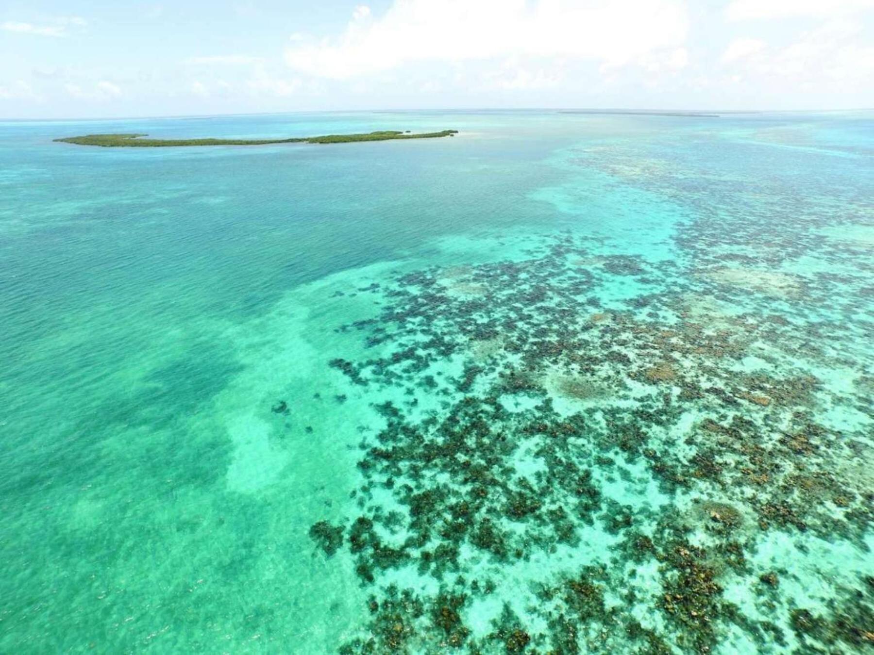 Placencia Sailing Catamaran Day Charter « Gingembre »