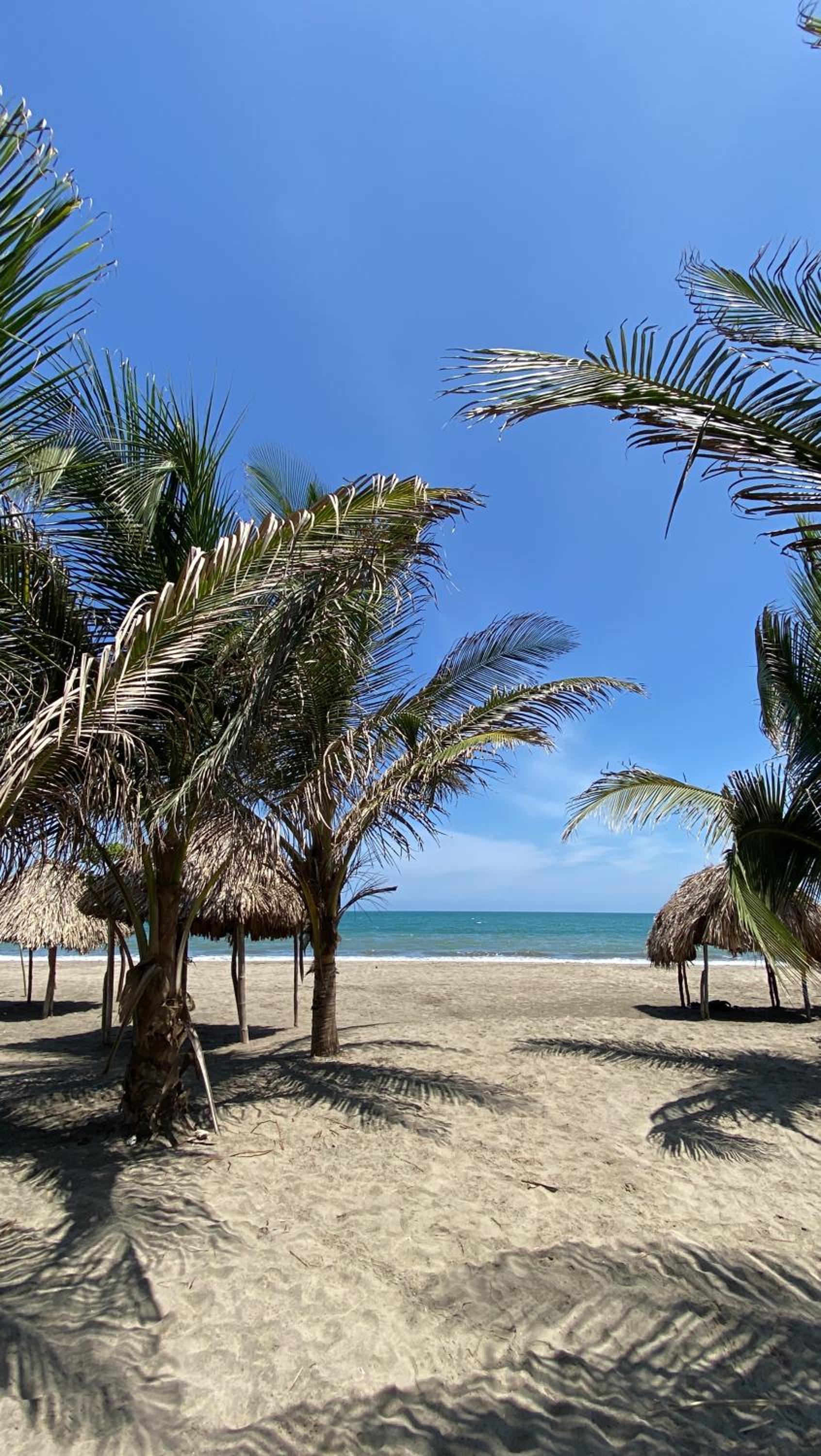 Villa Mediterránea