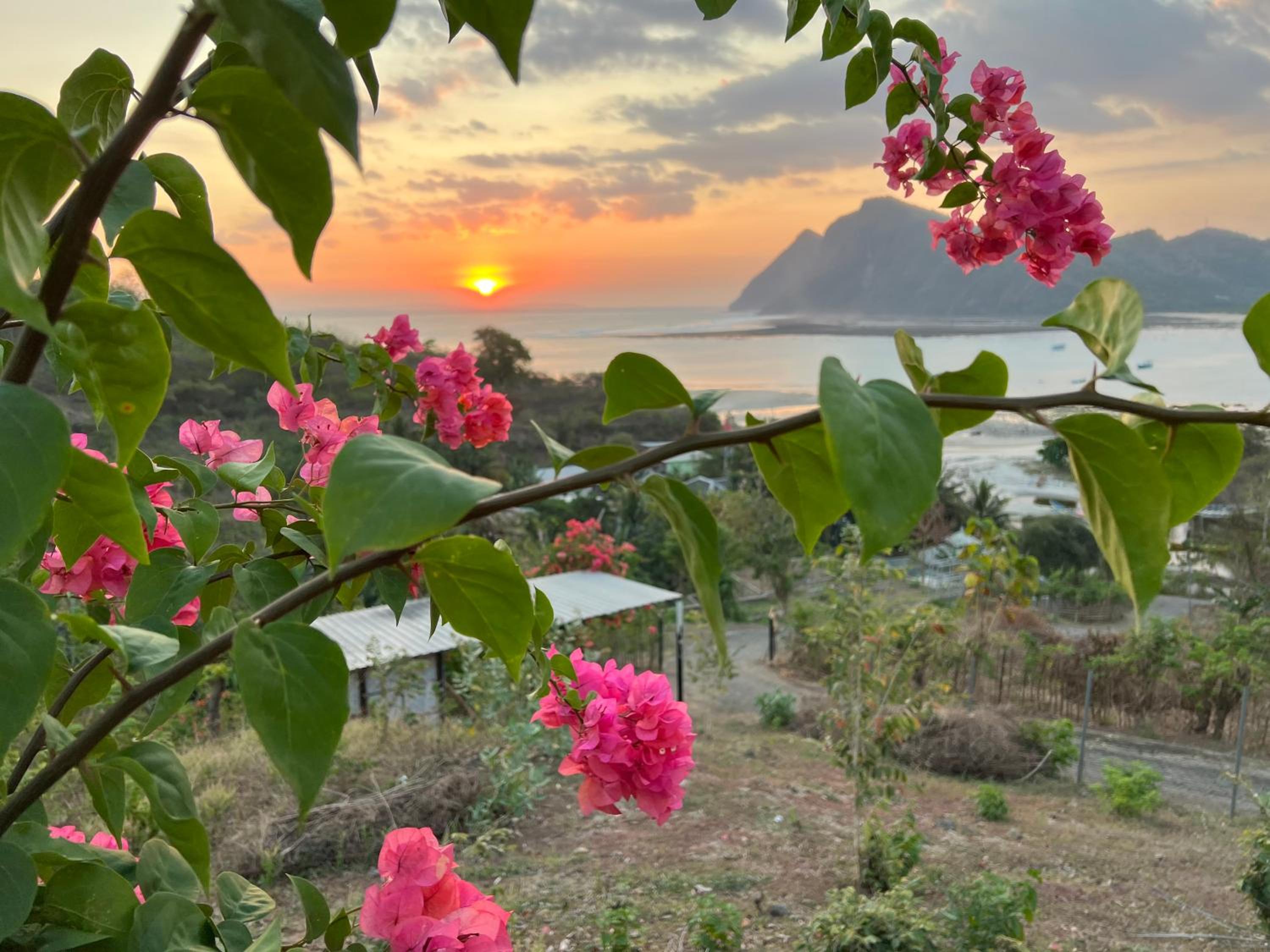 Ocean Surf Villa view 3