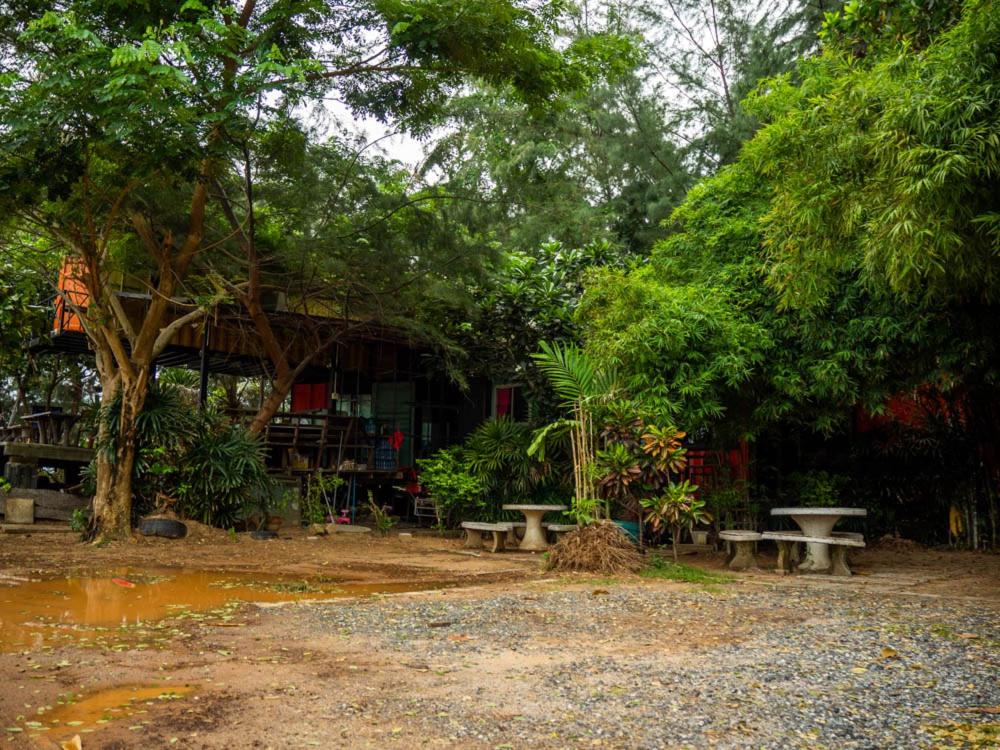 Photo 34