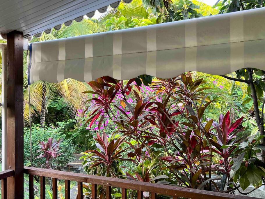 Petite Maison Petit-Anse Bouillante view 3