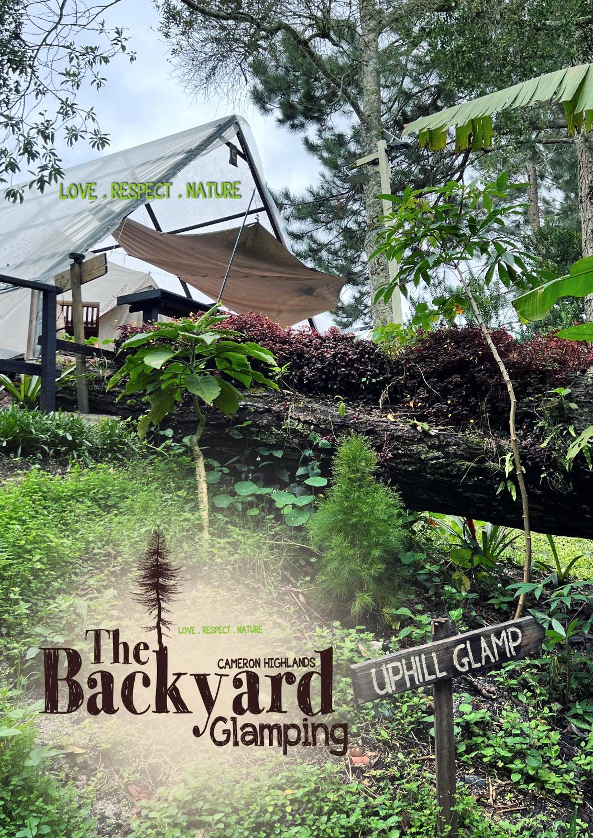 The Backyard Glamping Cameron Highlands