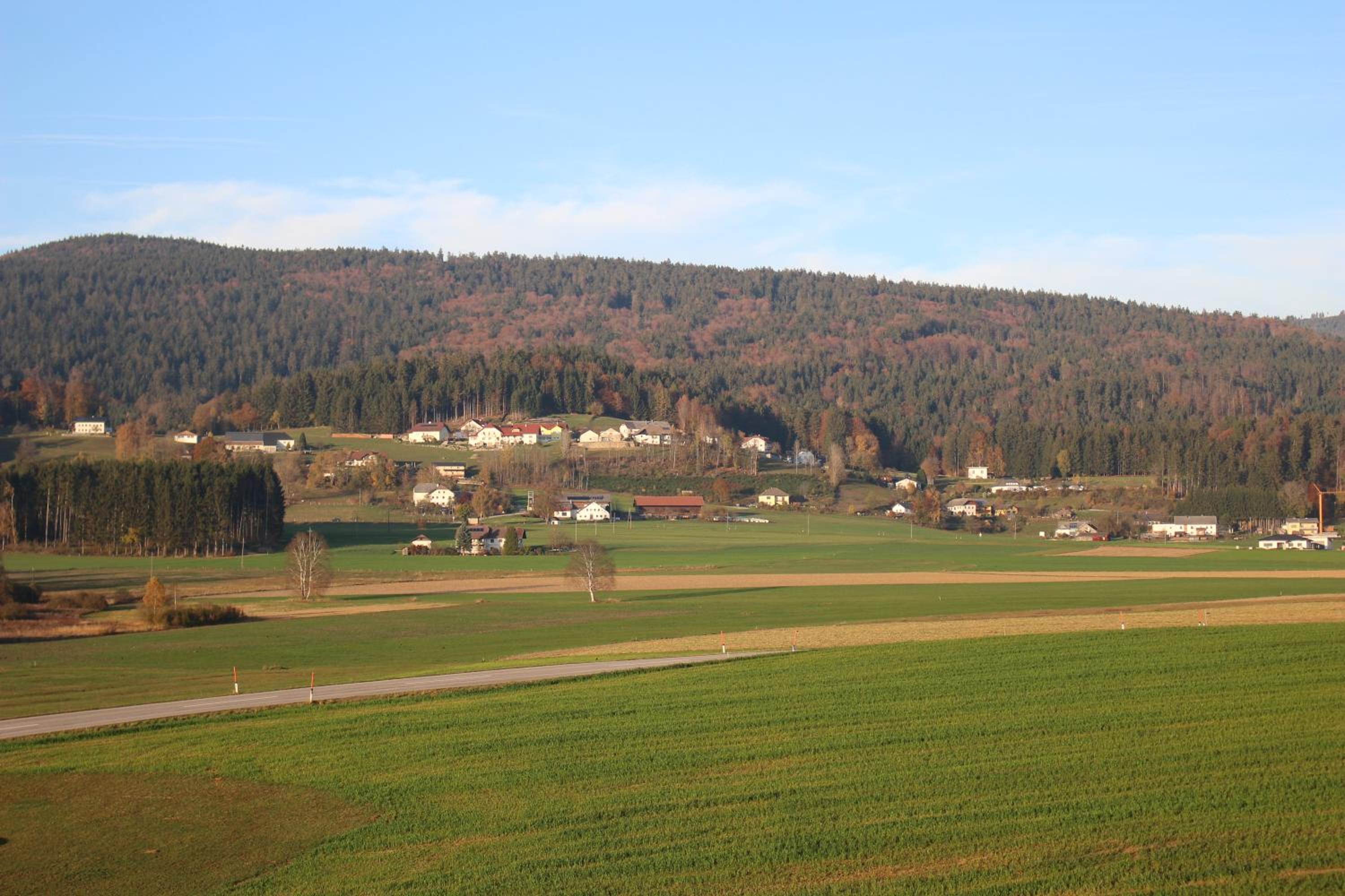 Photo 49
