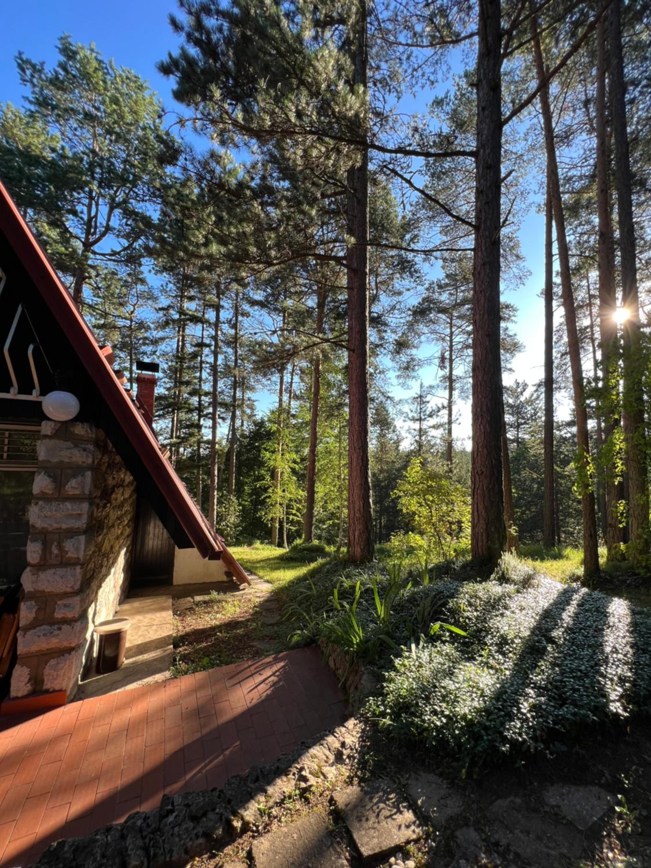 Tarushka house