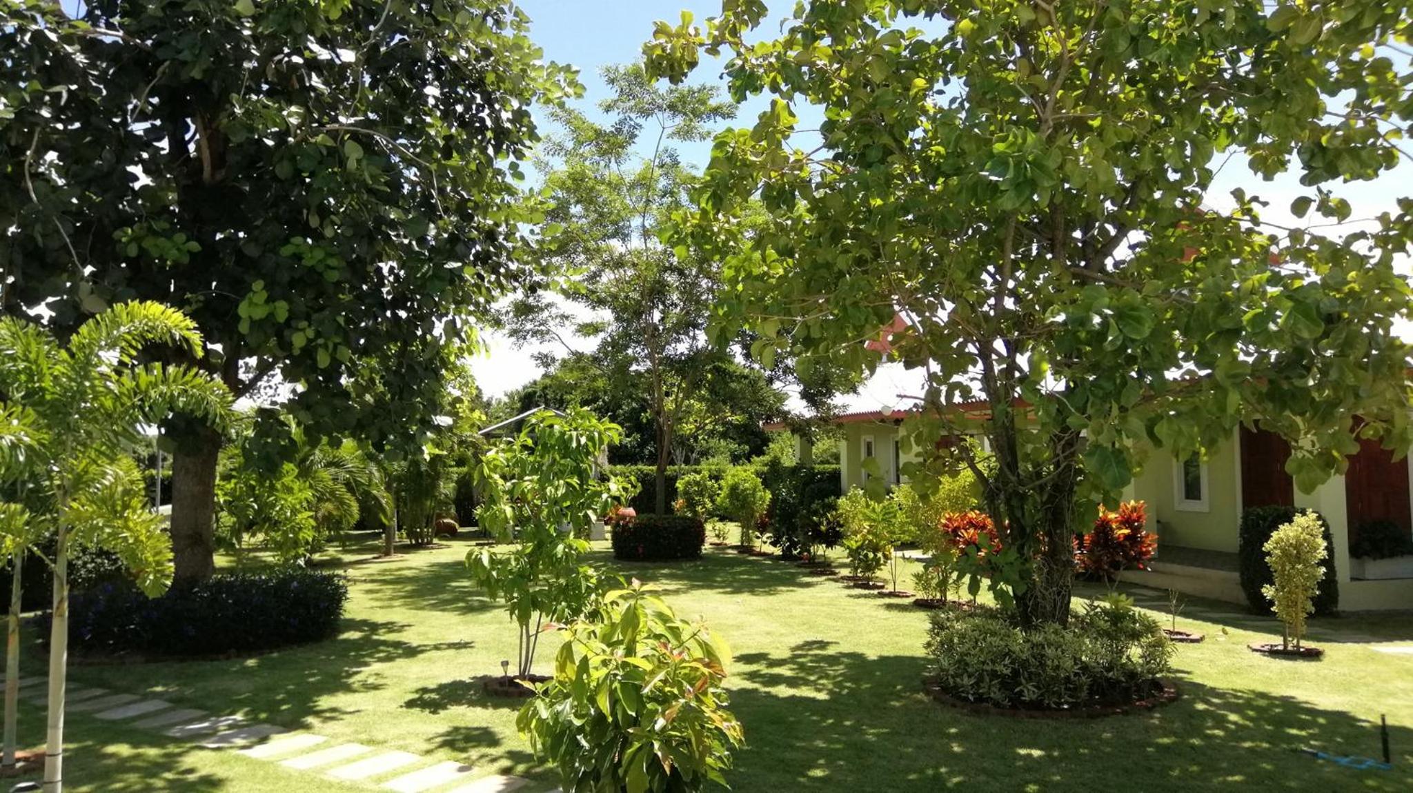 Photo 44