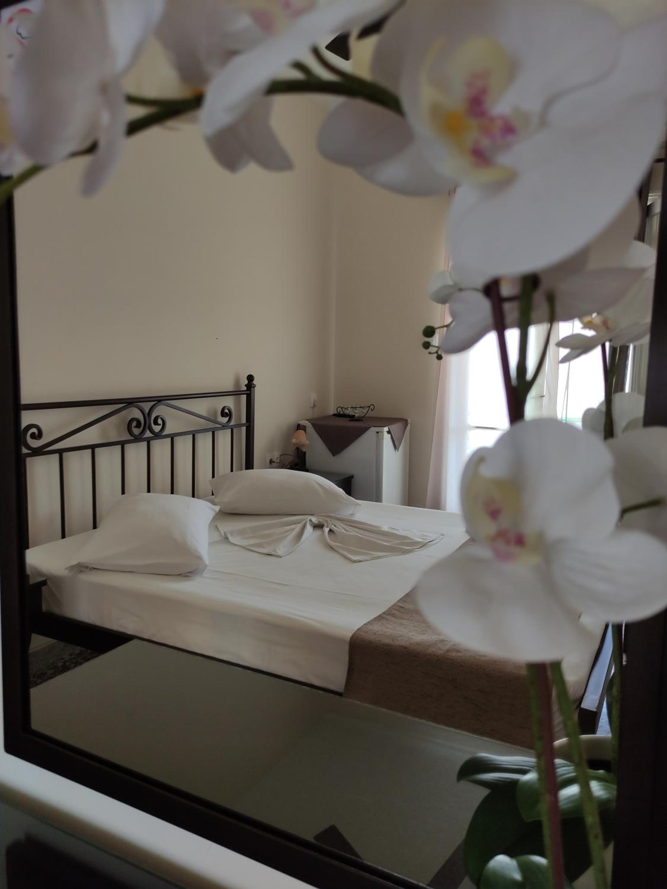 Paradise Garden Paros view 5