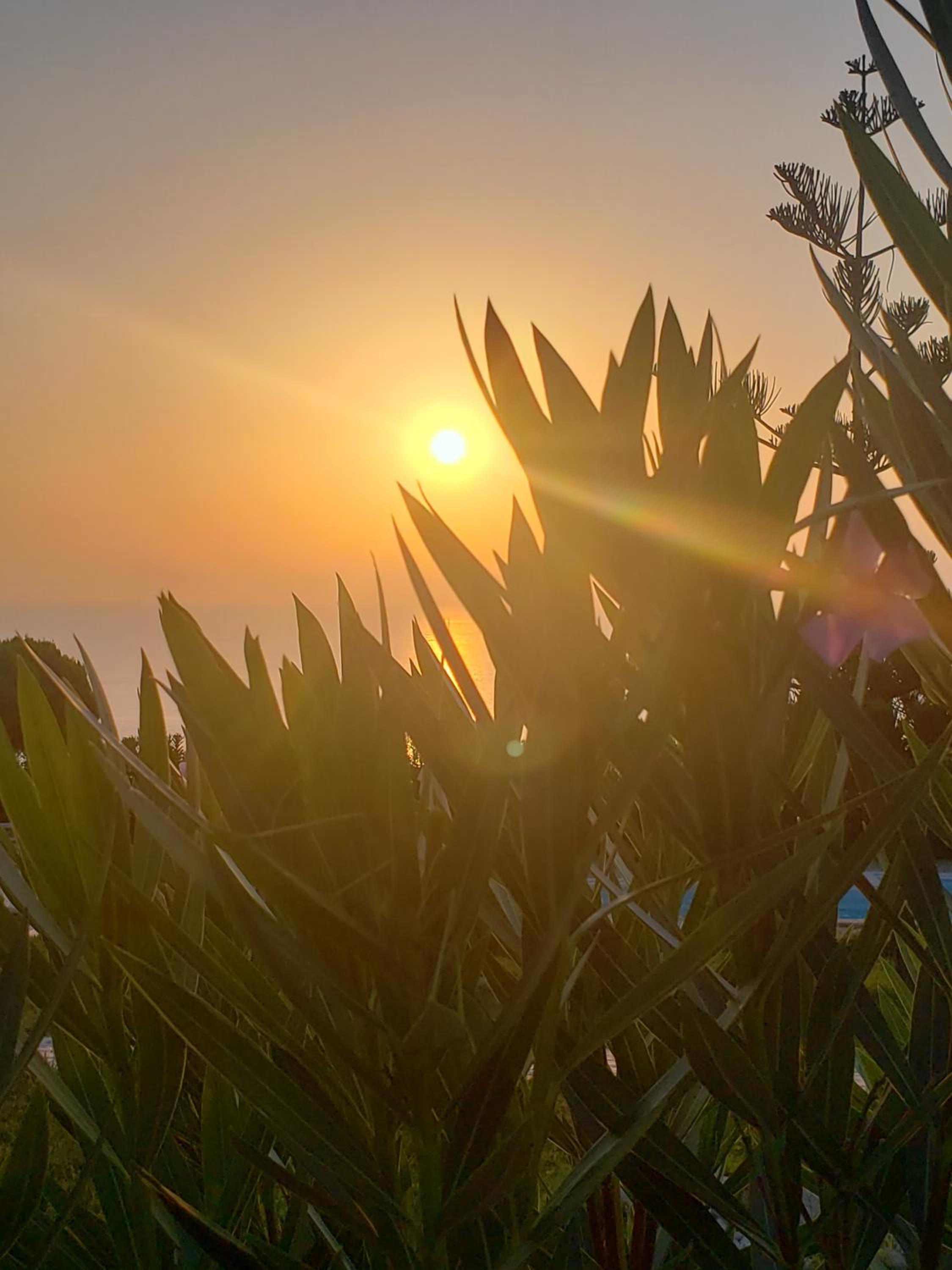 G and A House photo 3