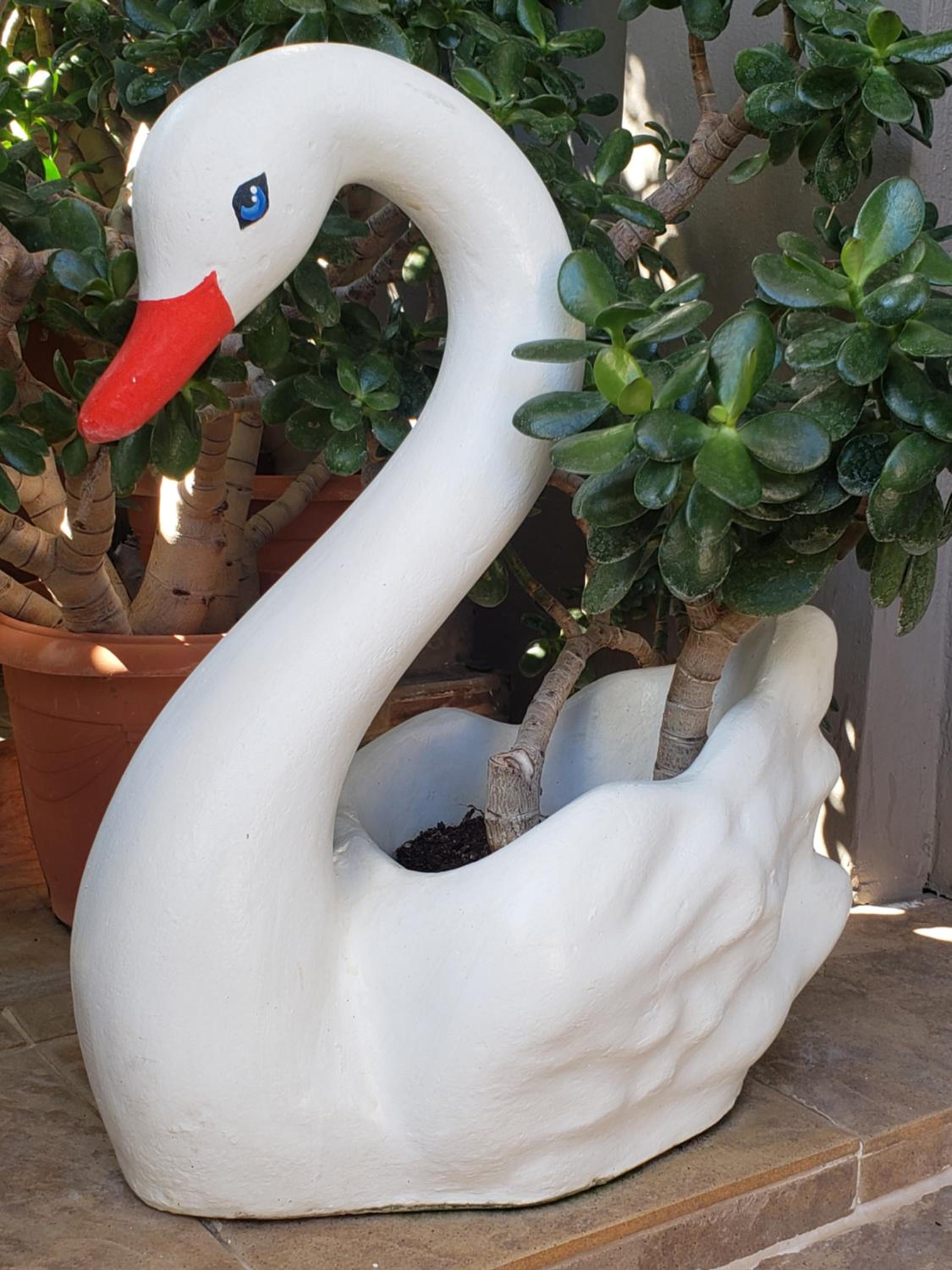 G and A House photo 5