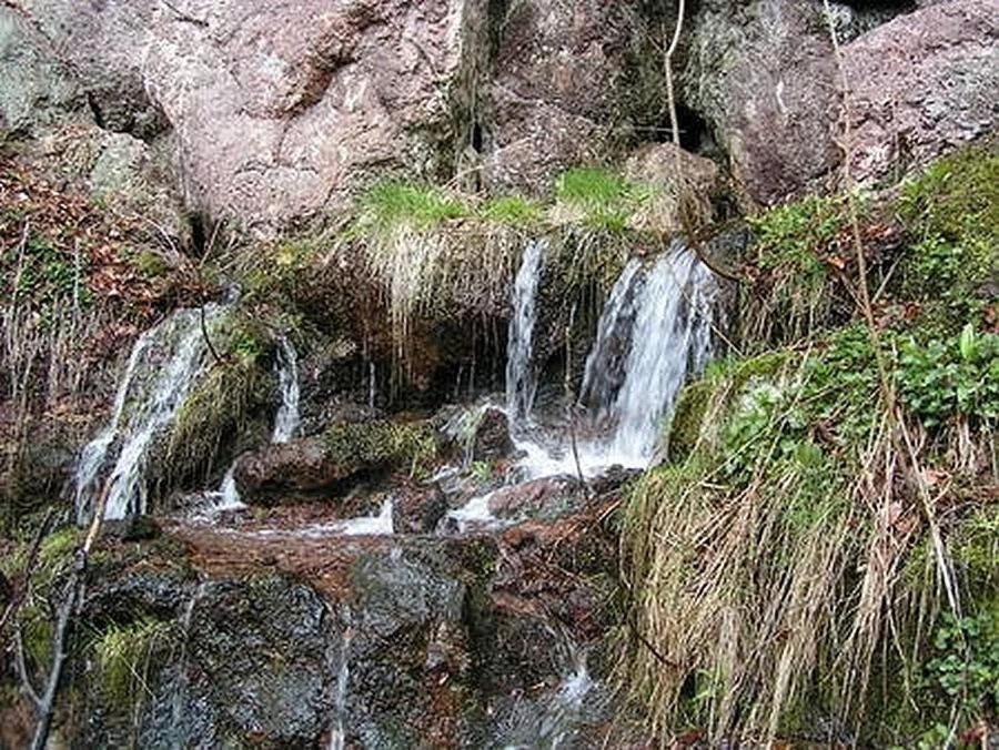 Photo 49