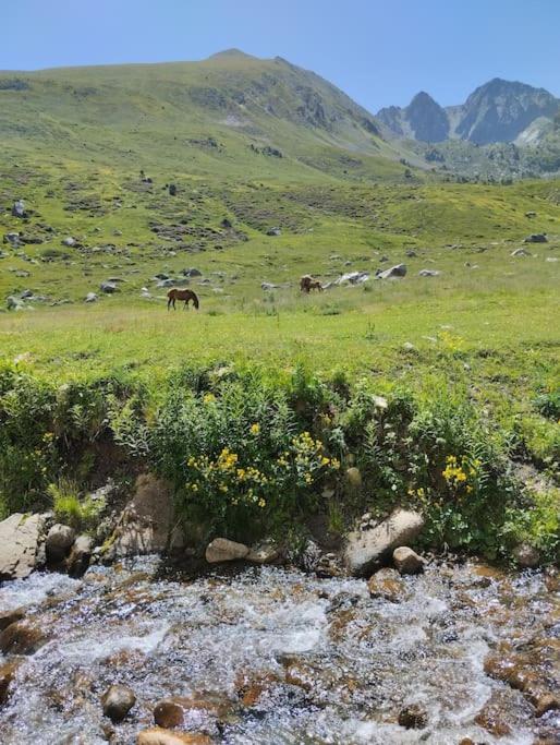 Apto silencioso vistas a natura
