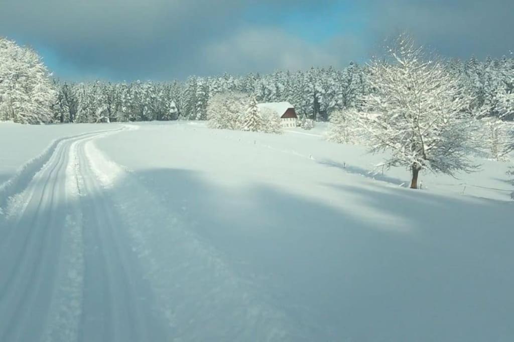 Ferienwohnung im Schwarzwald