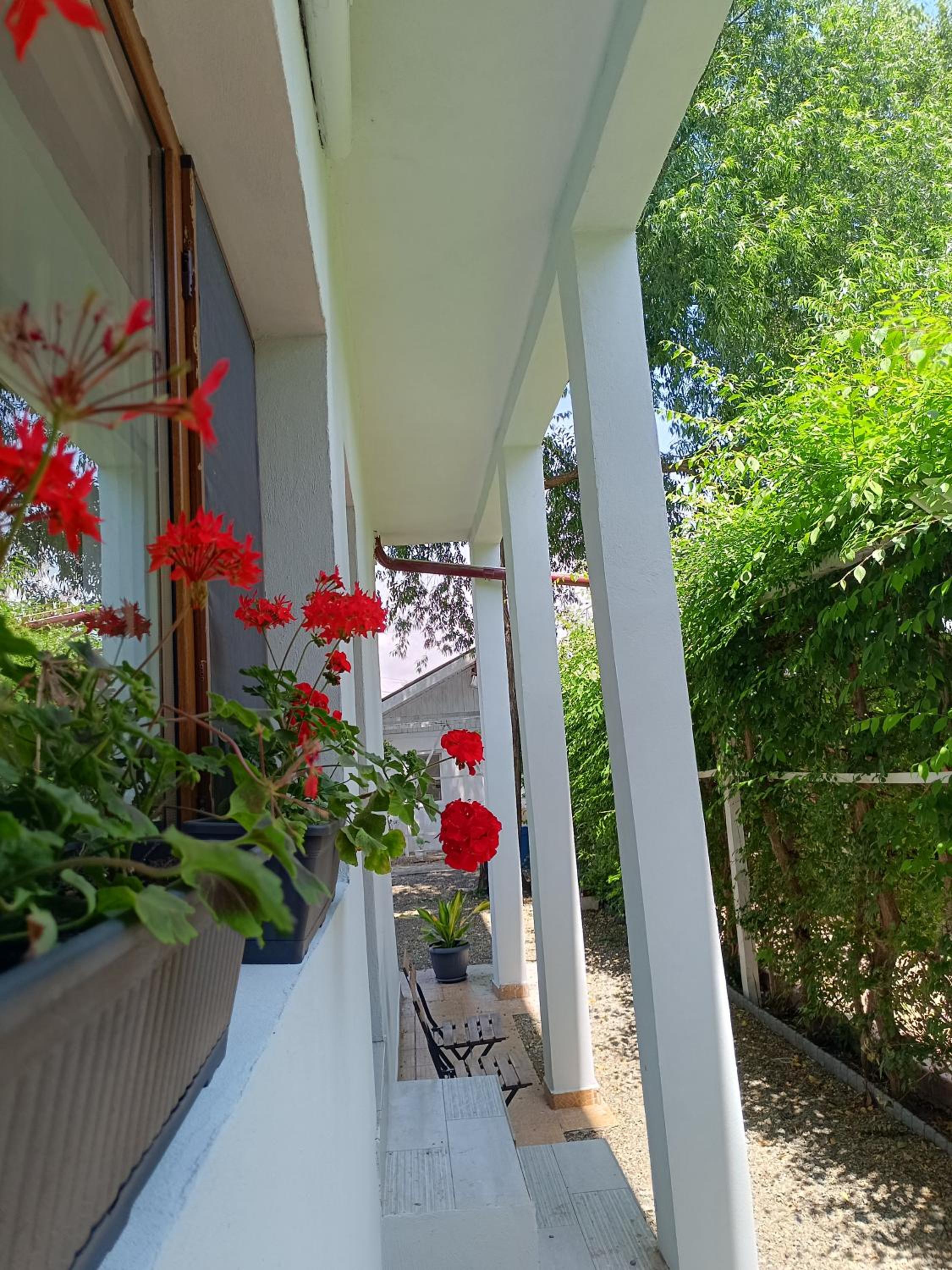 AlmaVille Mamaia