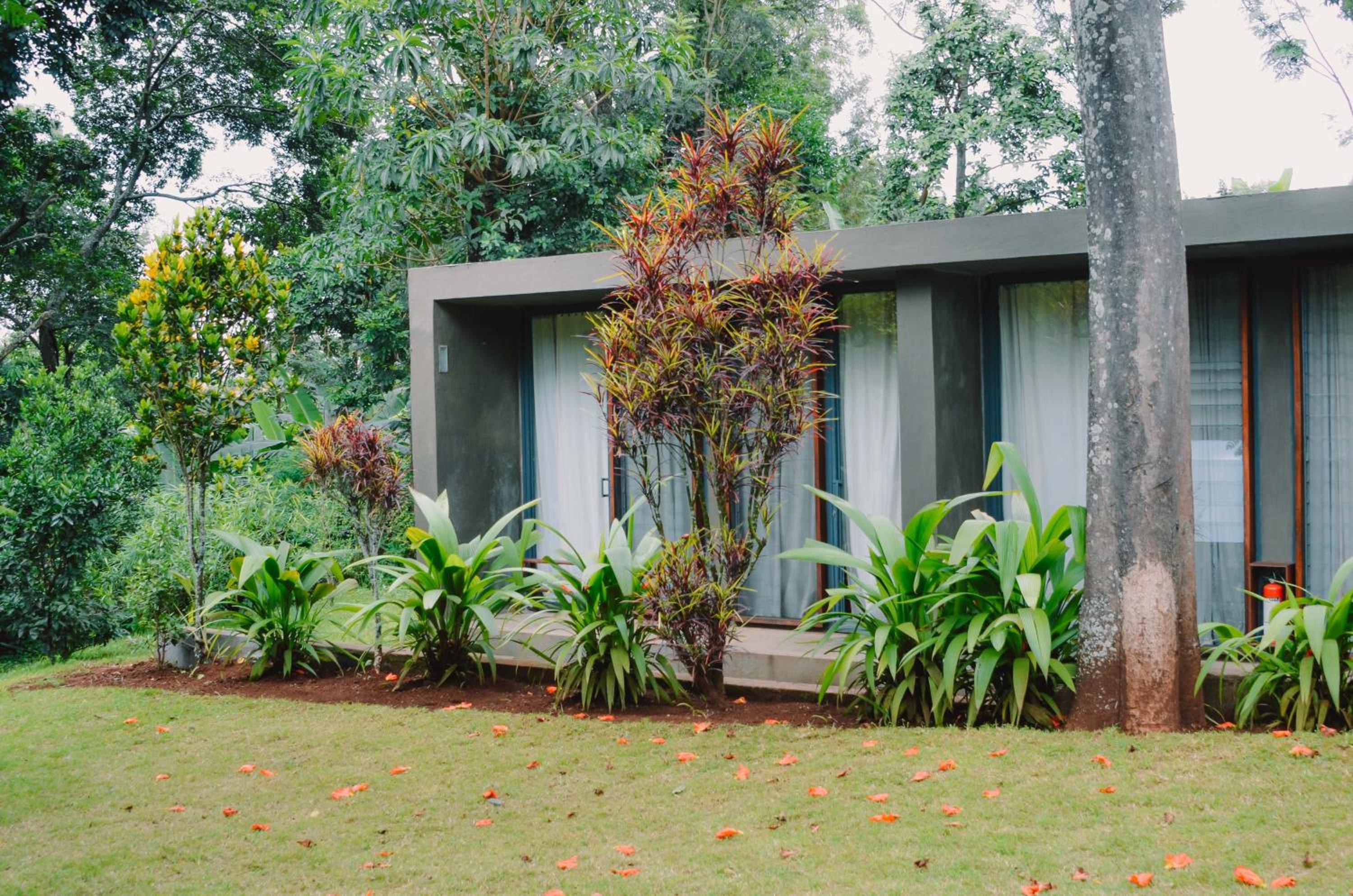 Kaliwa Lodge