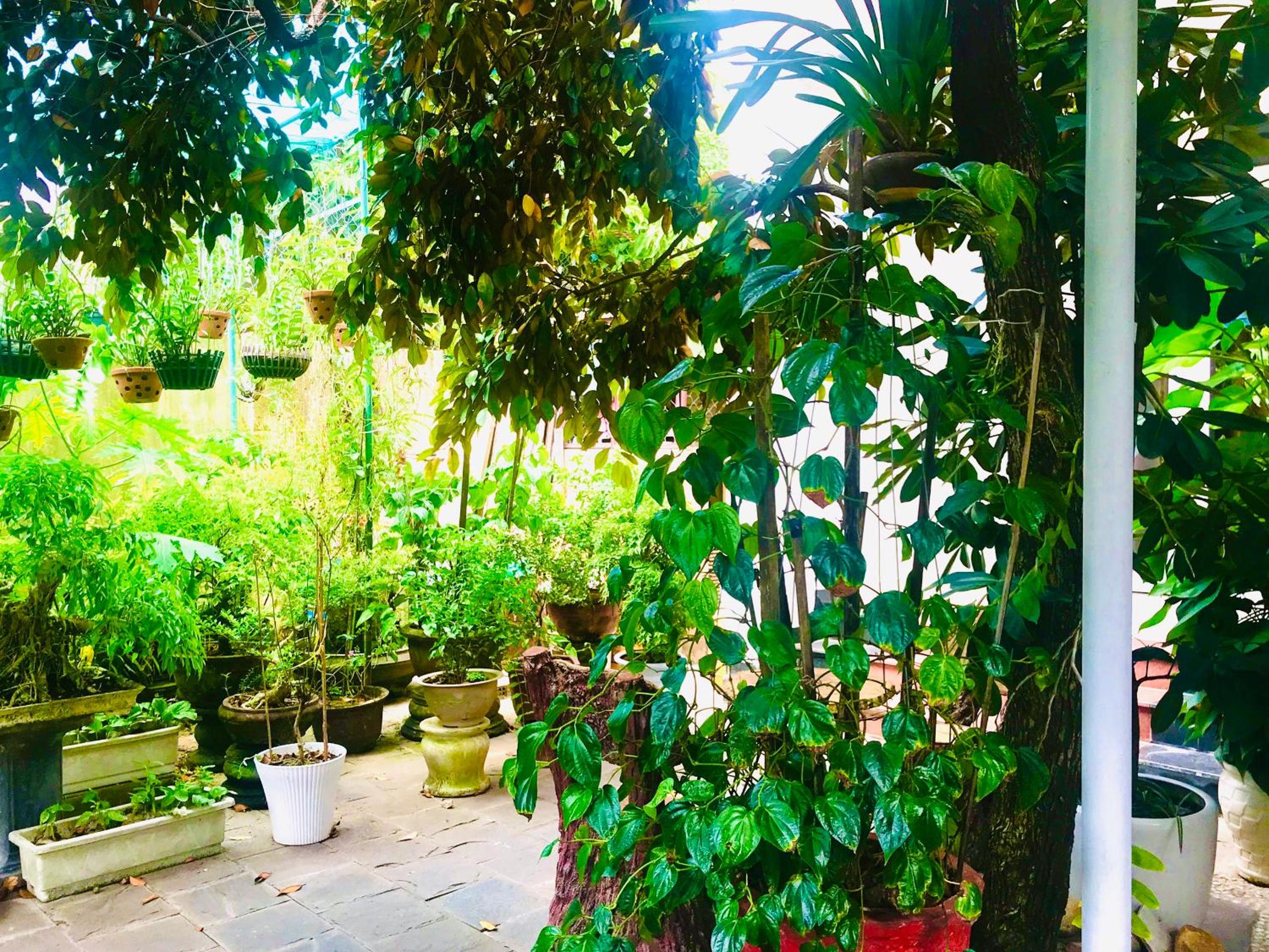 Pebble Homestay