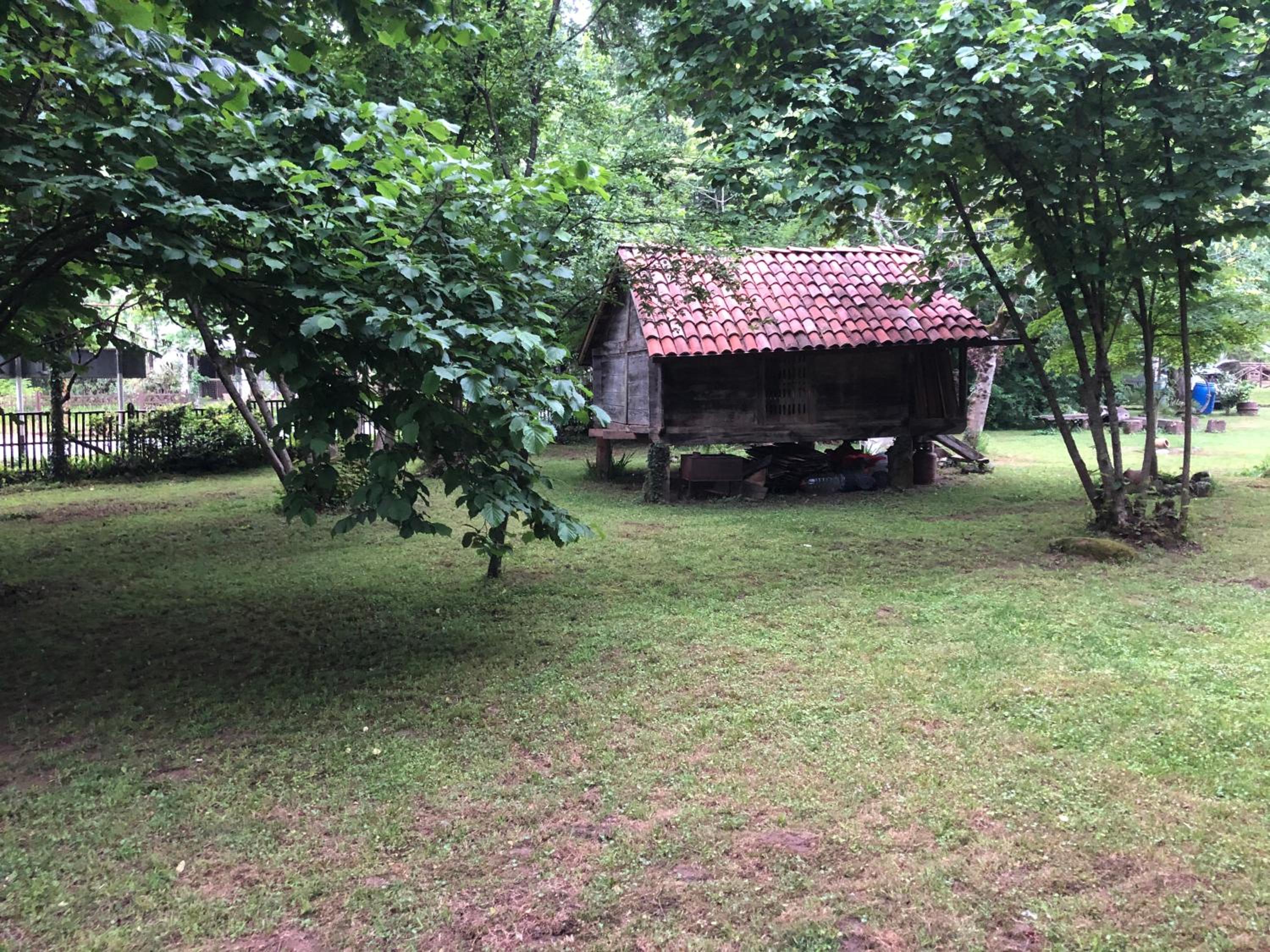 Photo 17