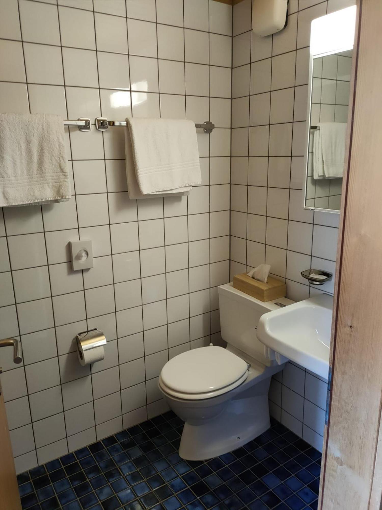 Hotel Furka view 4