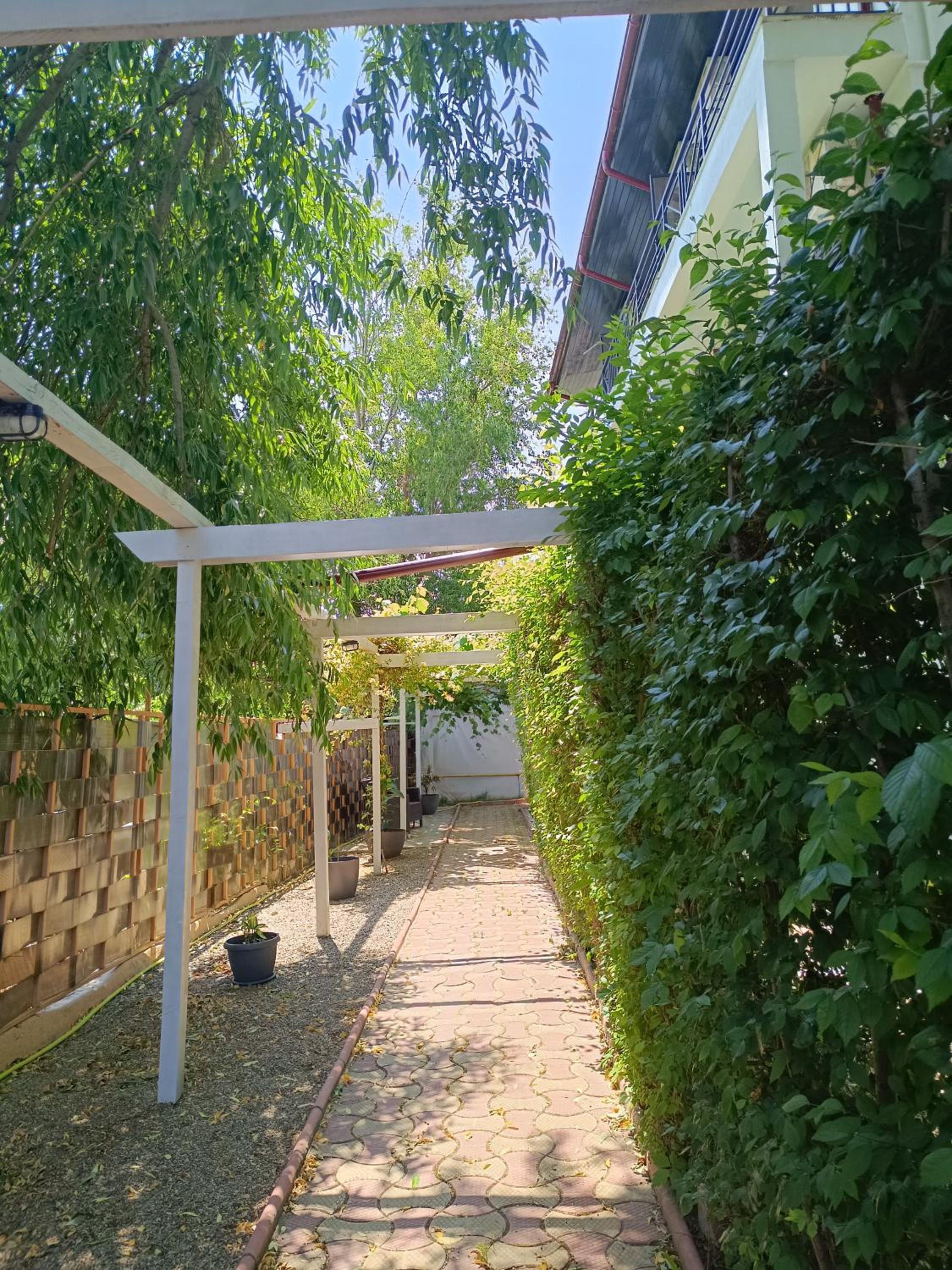 AlmaVille Mamaia
