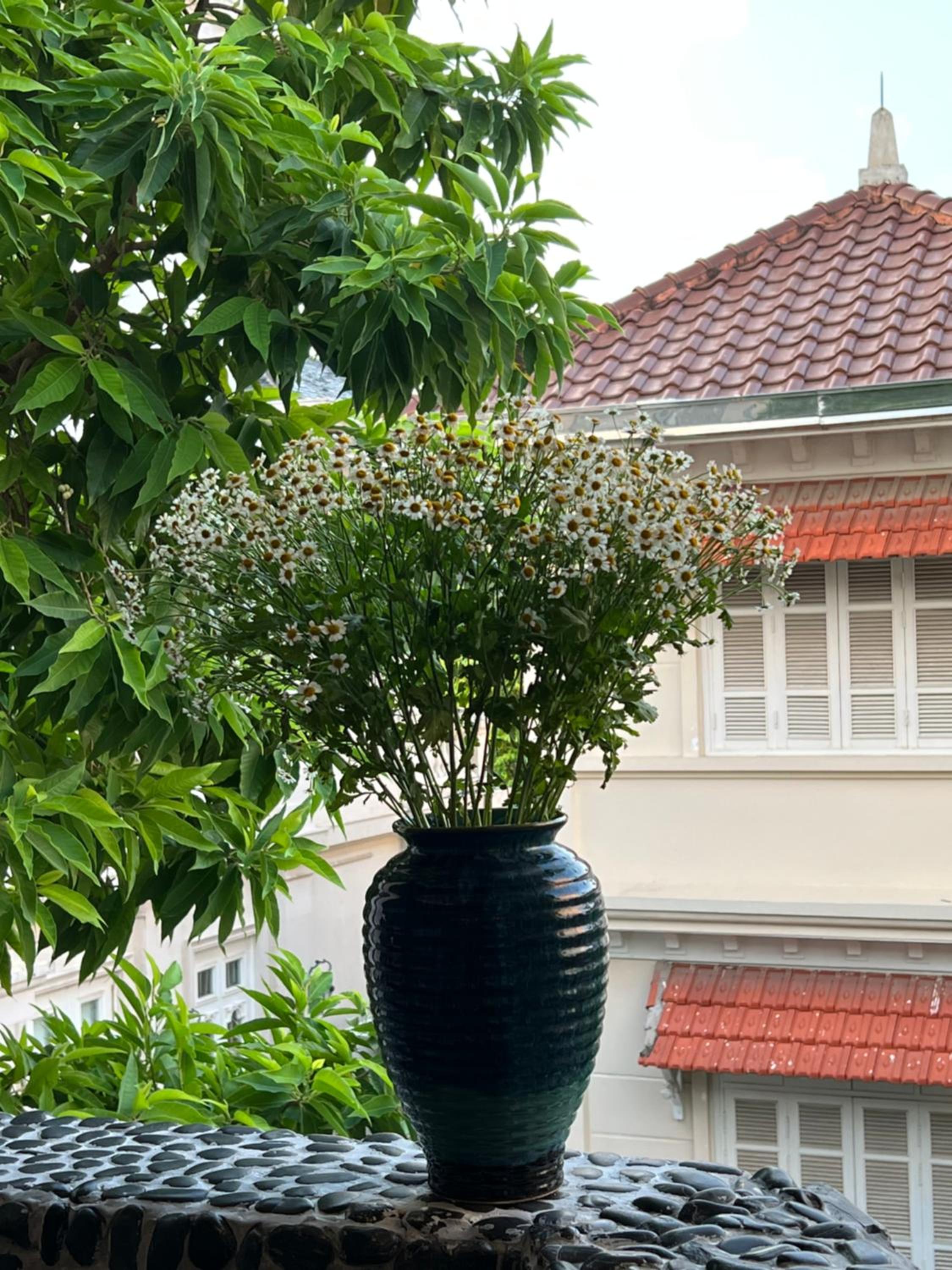 Perfect private villa and outdoor spa with garden 4 bedrooms