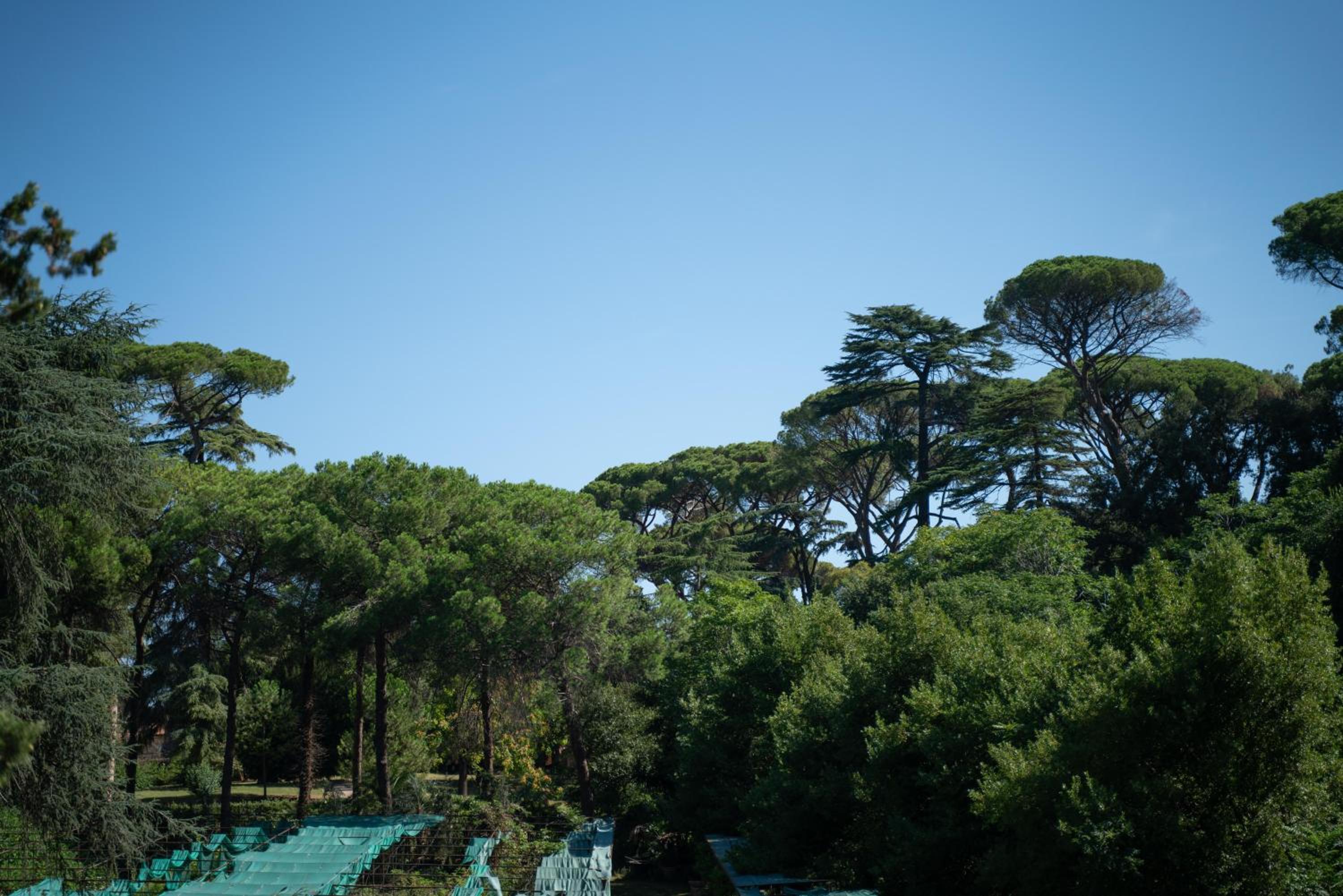 Villa Terme di Caracalla with private Swimming Pool
