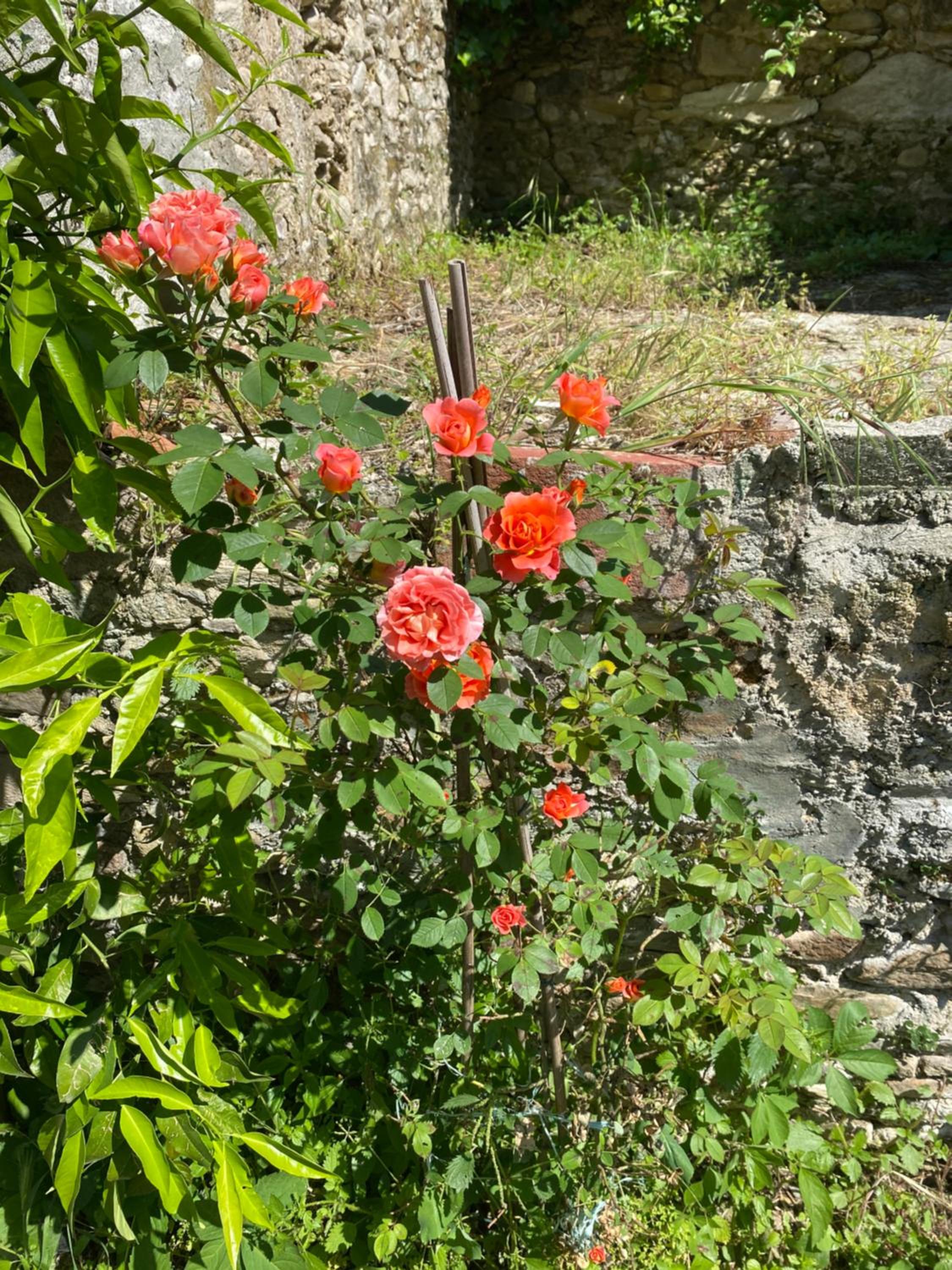 Photo 29