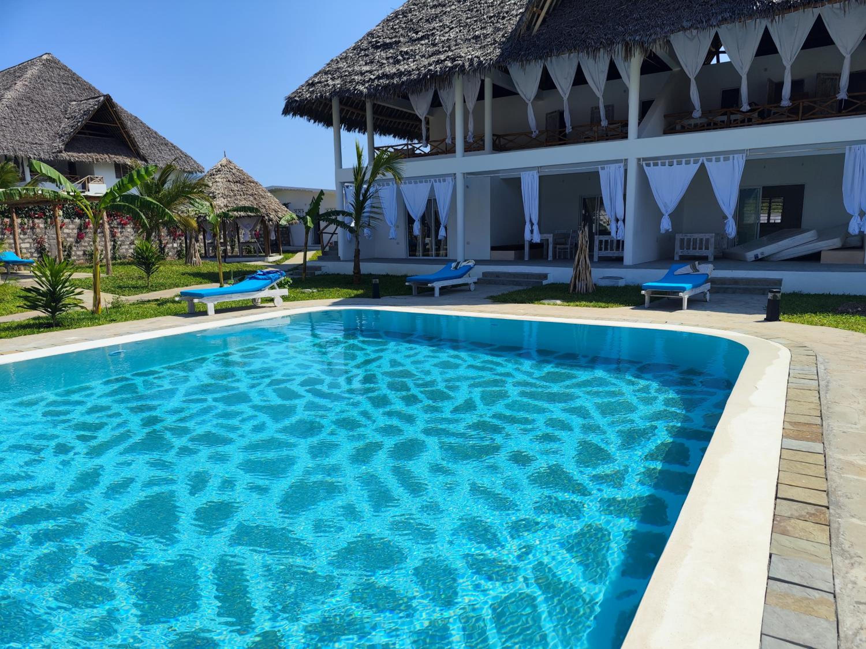 RiccArDella House Rafiki Tamu