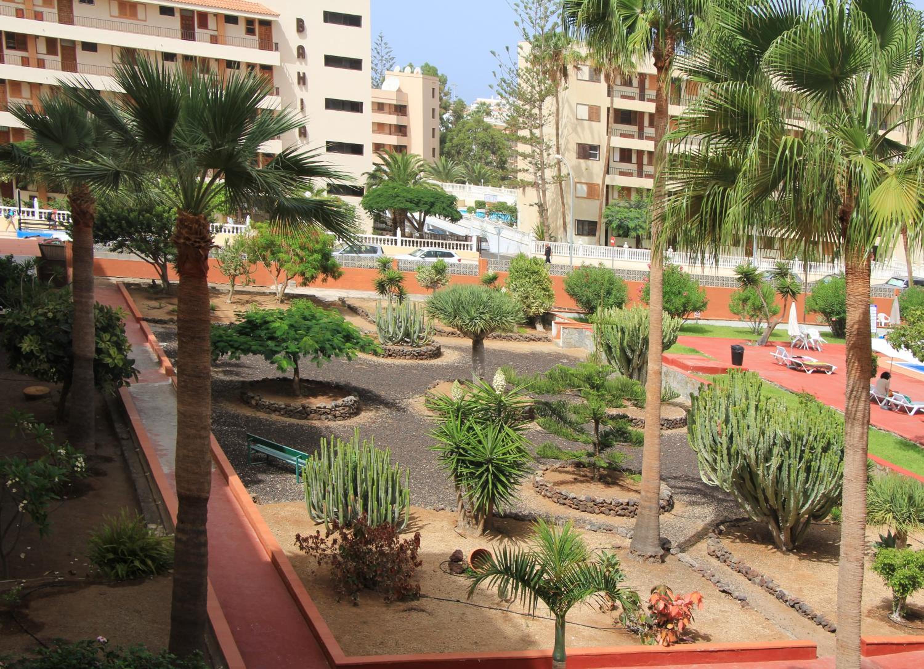 Los Cristianos - 2 bedrooms - Flayla-C