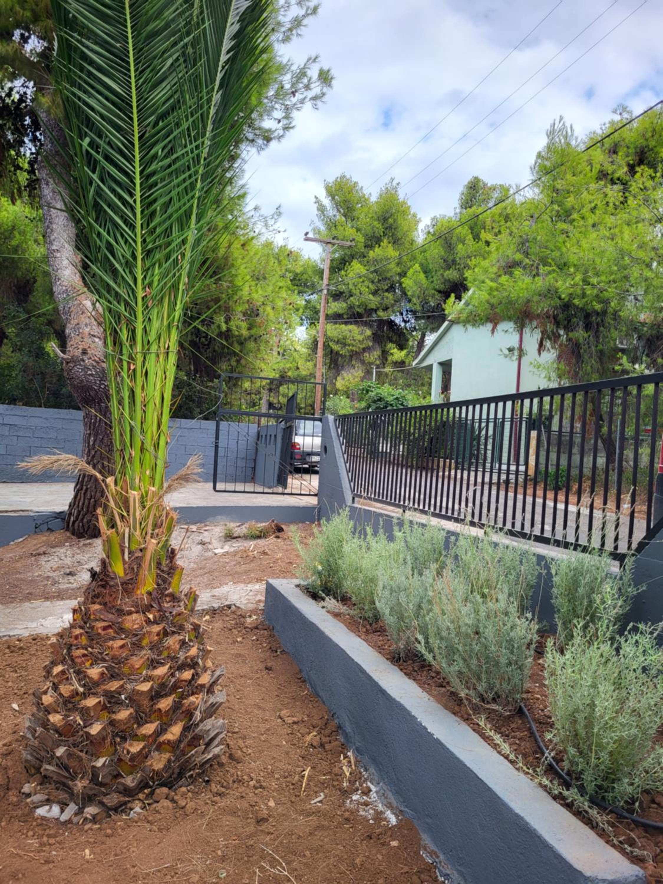 Delion Guest House