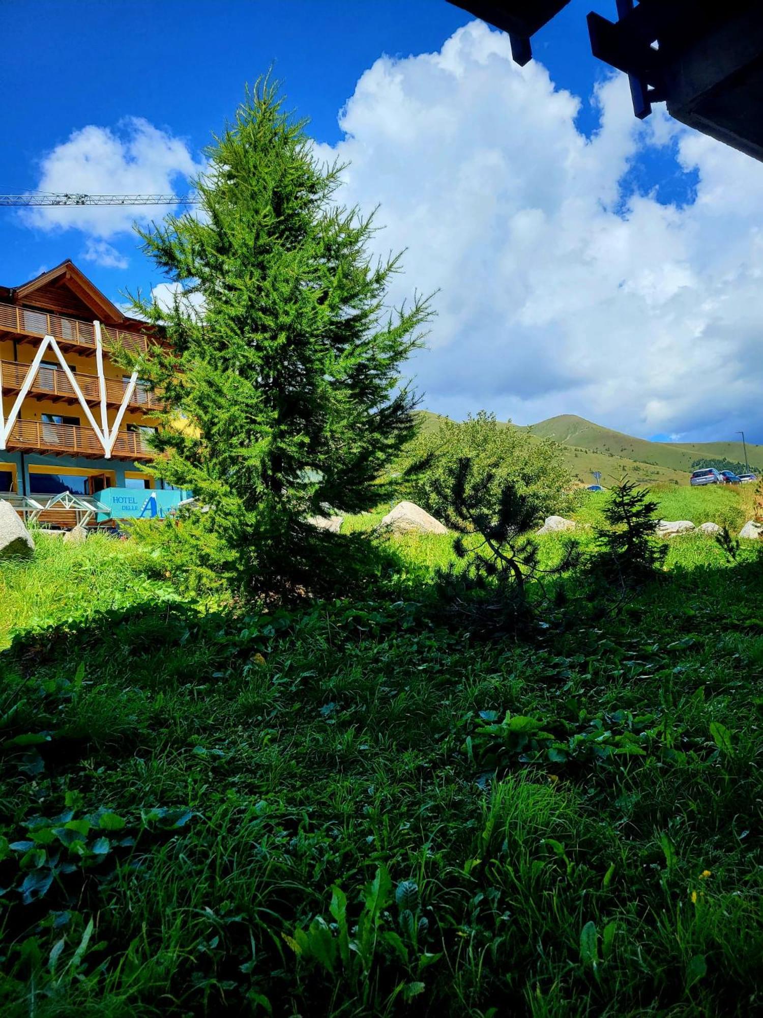 Lilly's Home -Gran Baita- view 2