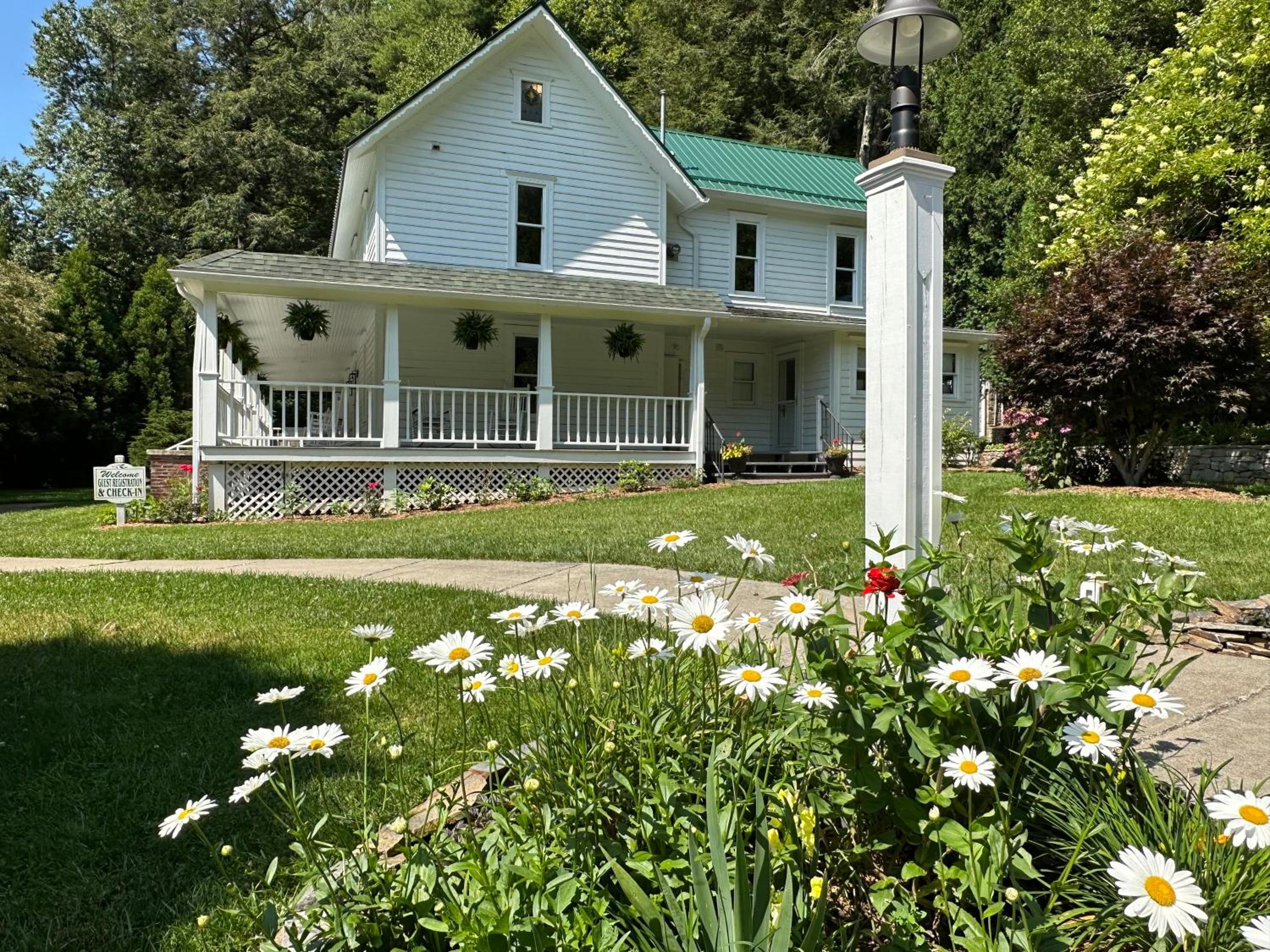 Photo 8