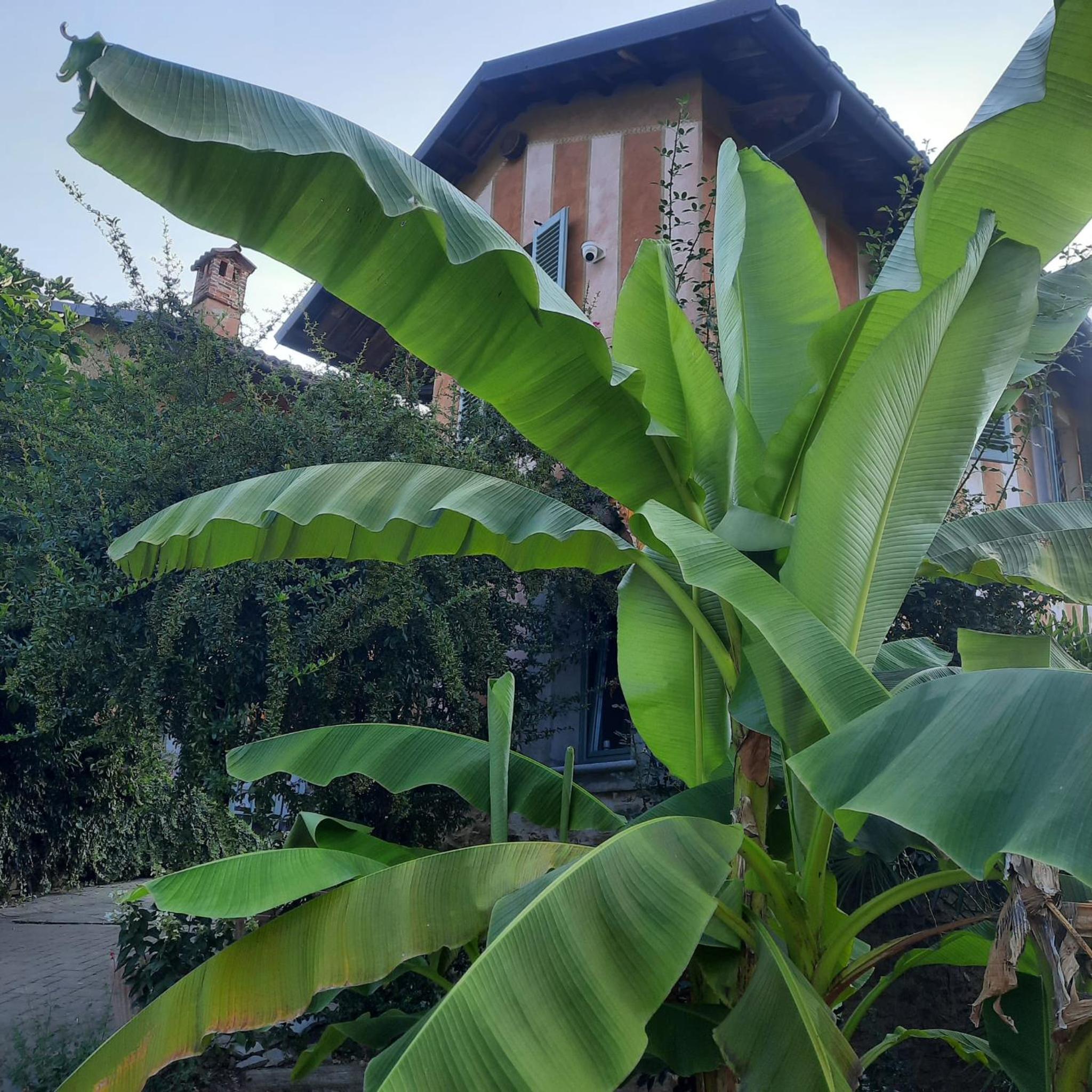 Segnavento -Rooms and Suites B&B a Manta vicino Saluzzo view 5