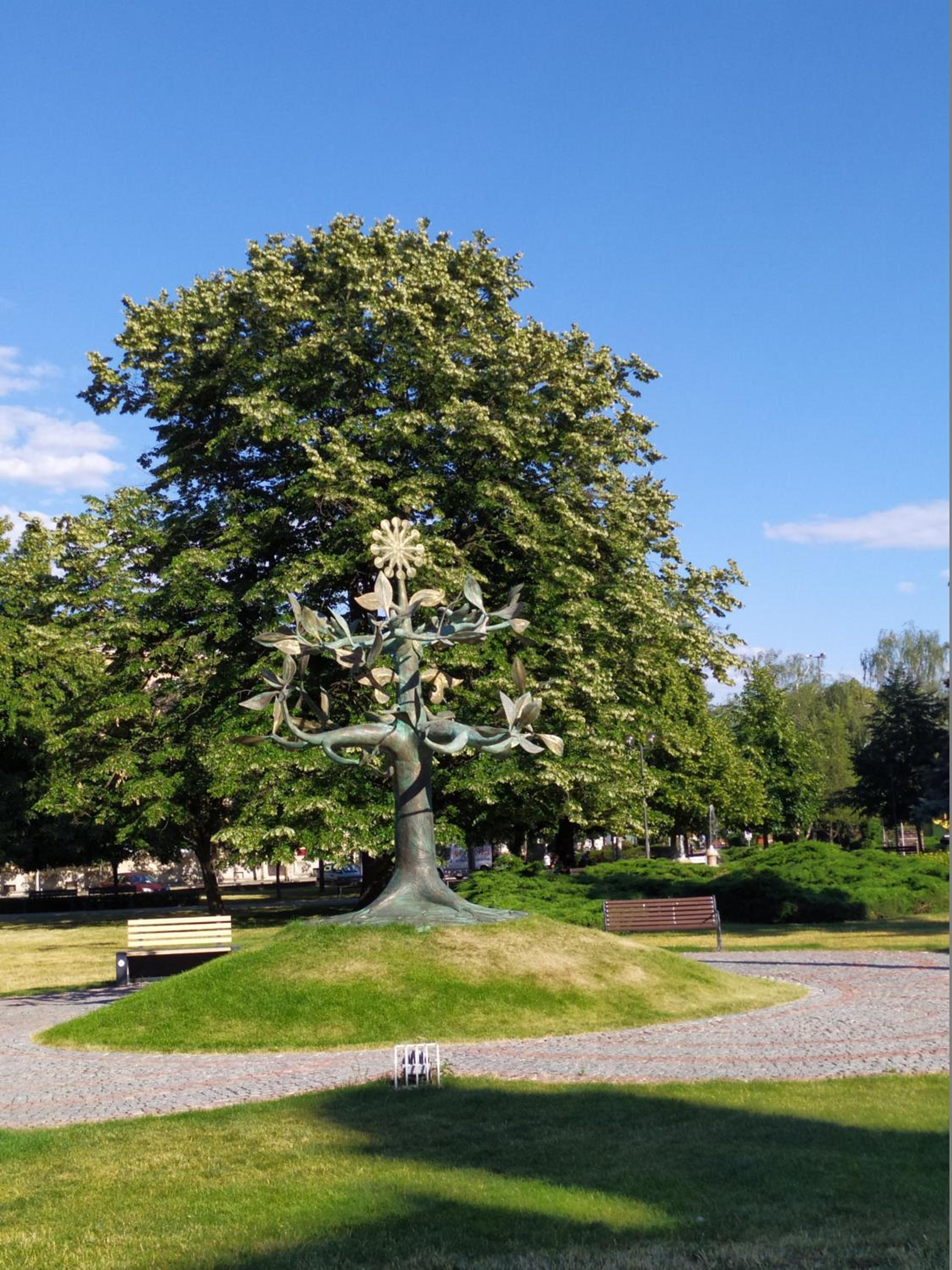 Photo 18