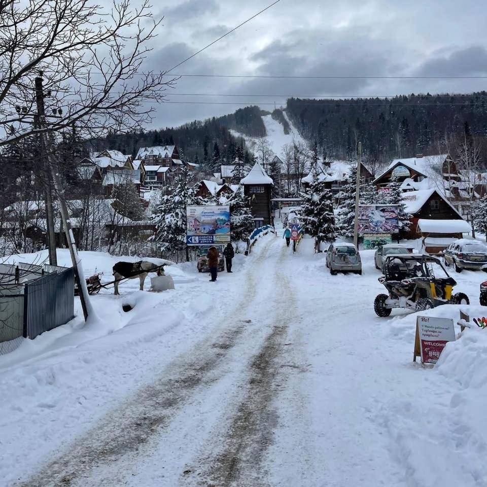 Шаленарозі view 2