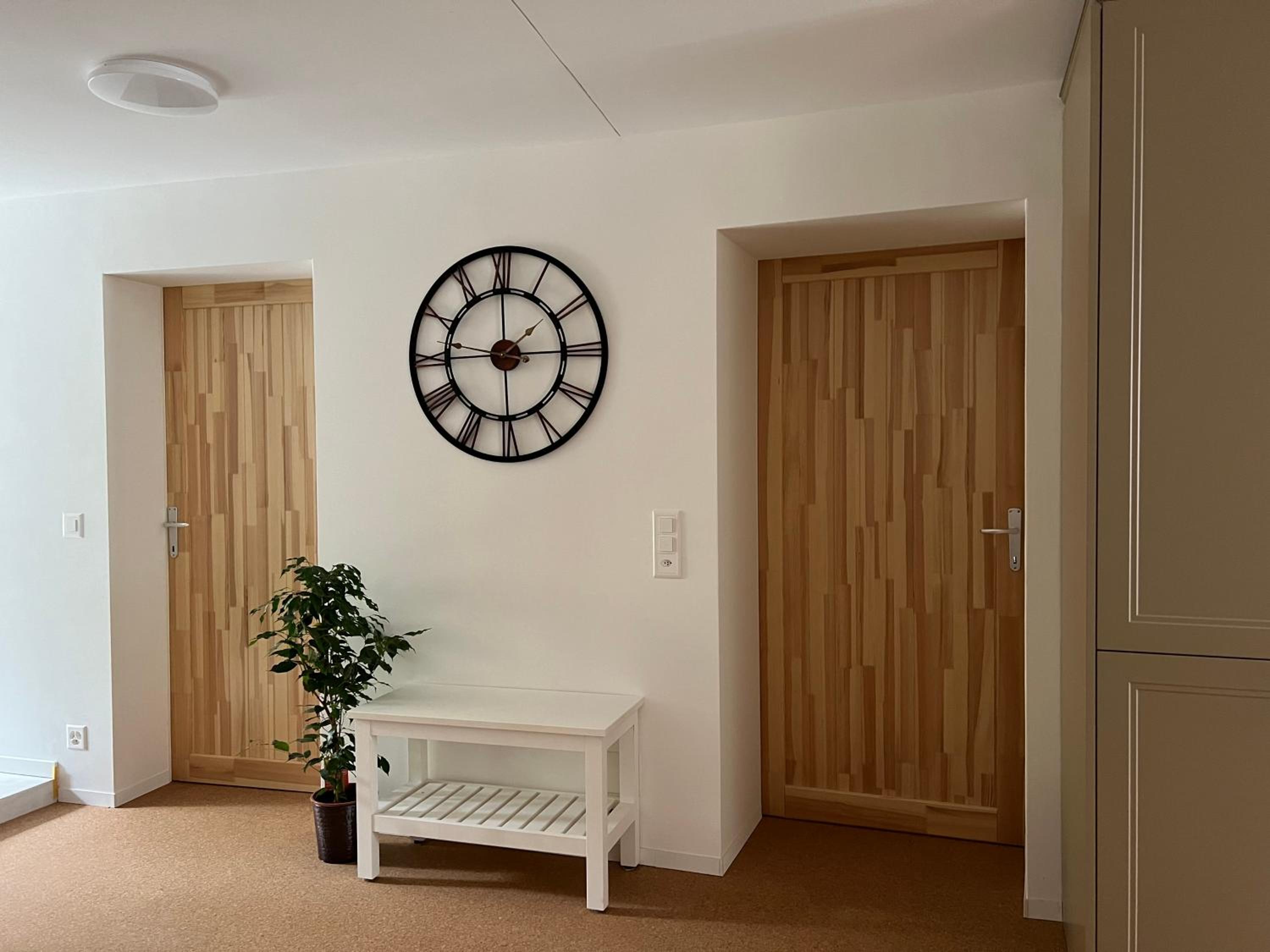 MARYS family friendly Apartments,VISIT RHINE FALLS for FREE if you stay 2 nights, SOHO 95m2 2-Bedrooms 2nd floor & SOUTH BEACH 105m2 3-Bedrooms & LOFT 115m