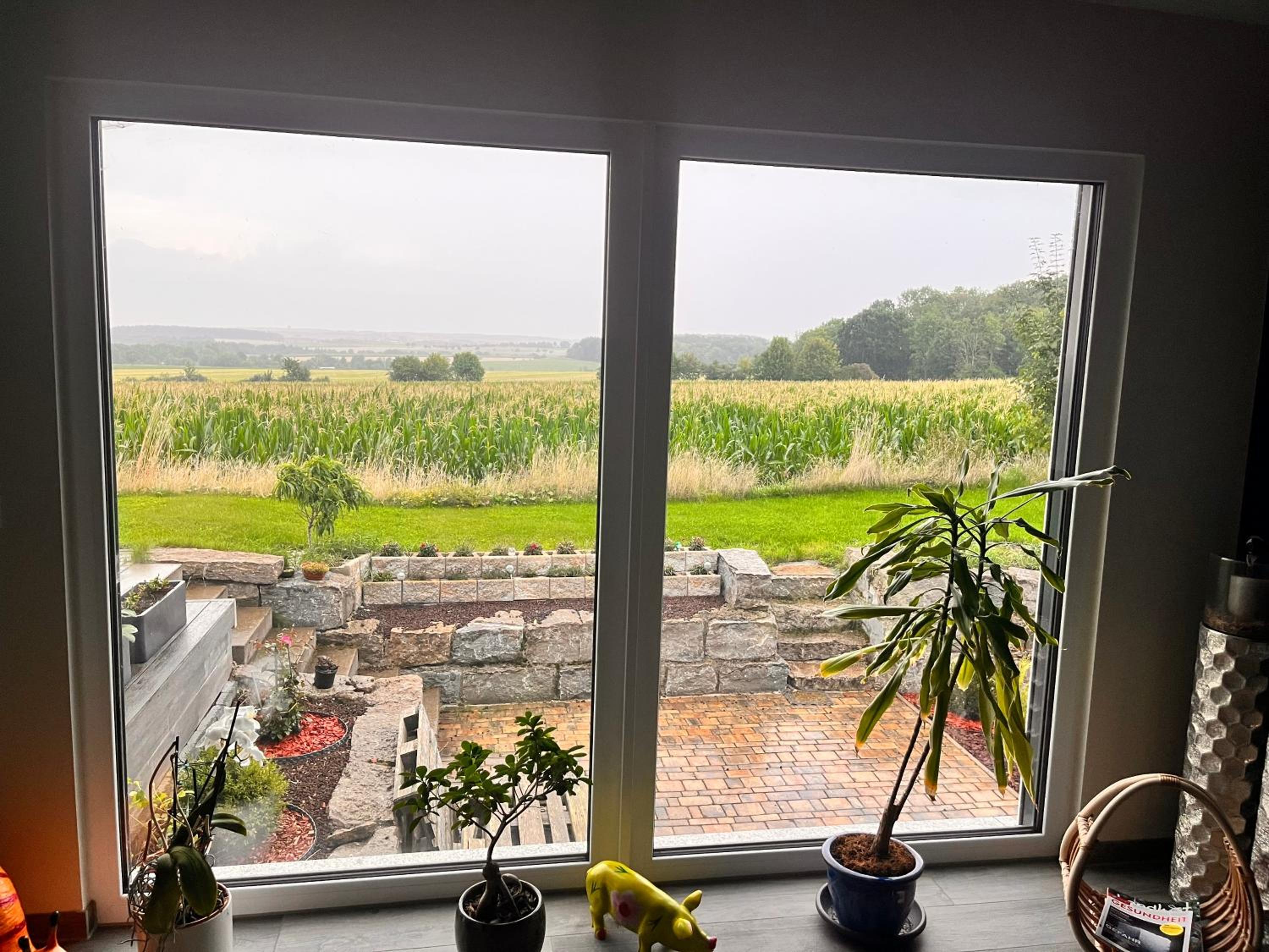 Haus am Wald view 5