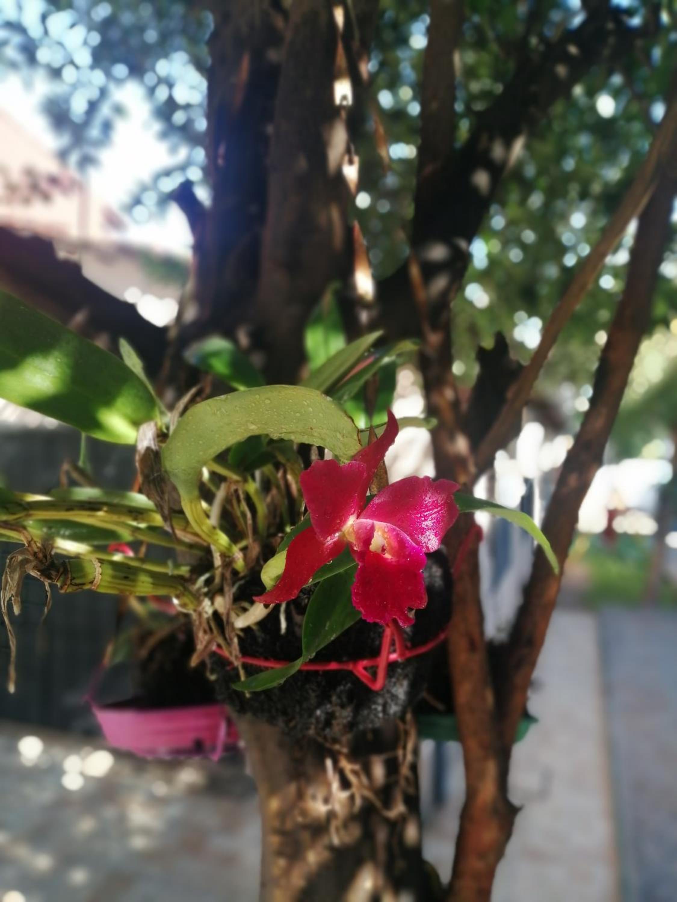 Photo 40