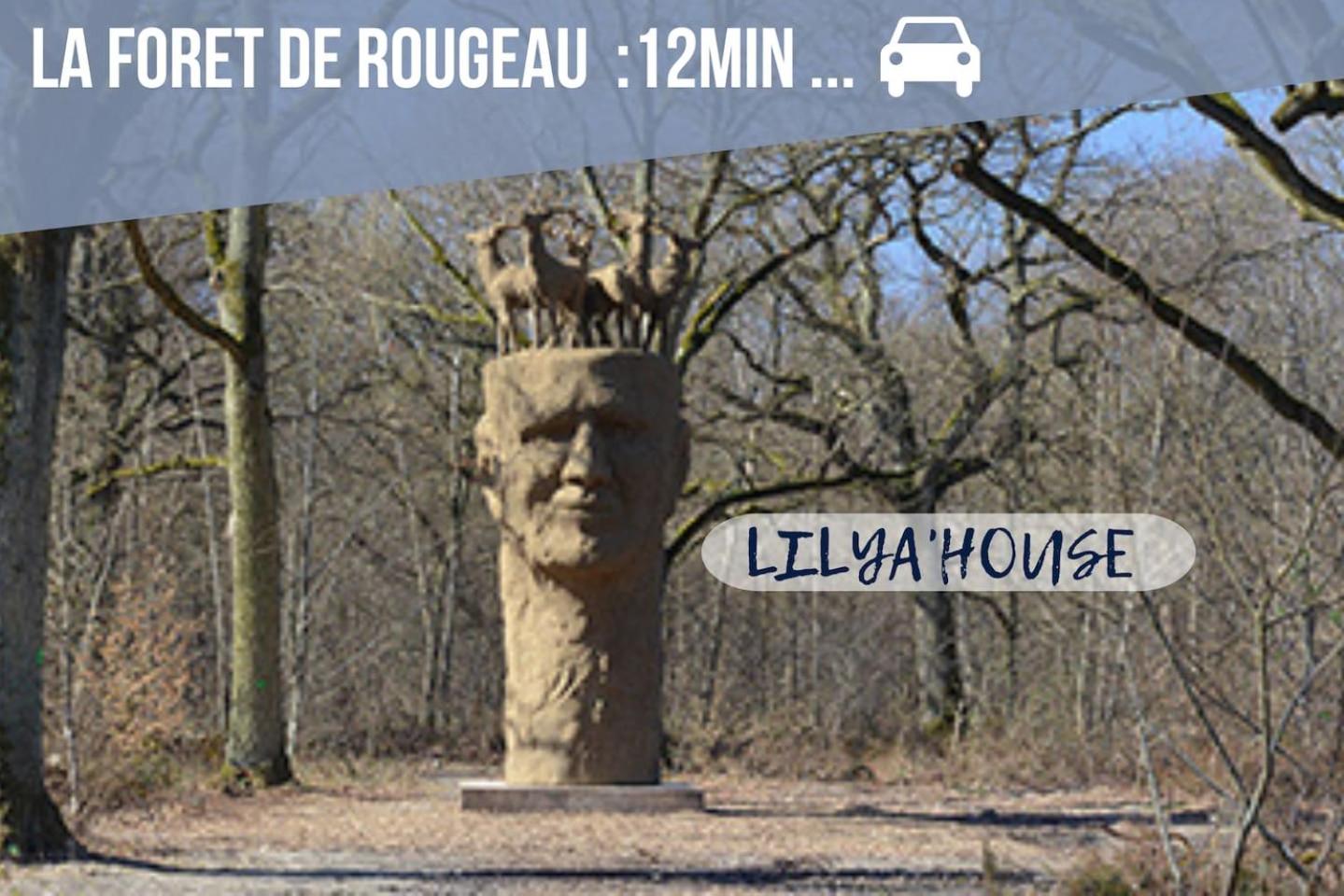 LILYA HOUSE