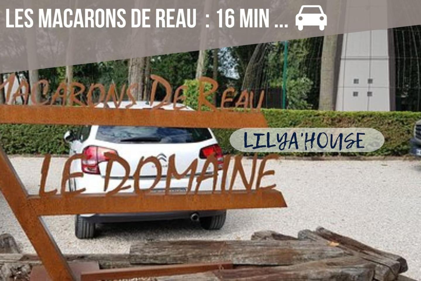 LILYA HOUSE