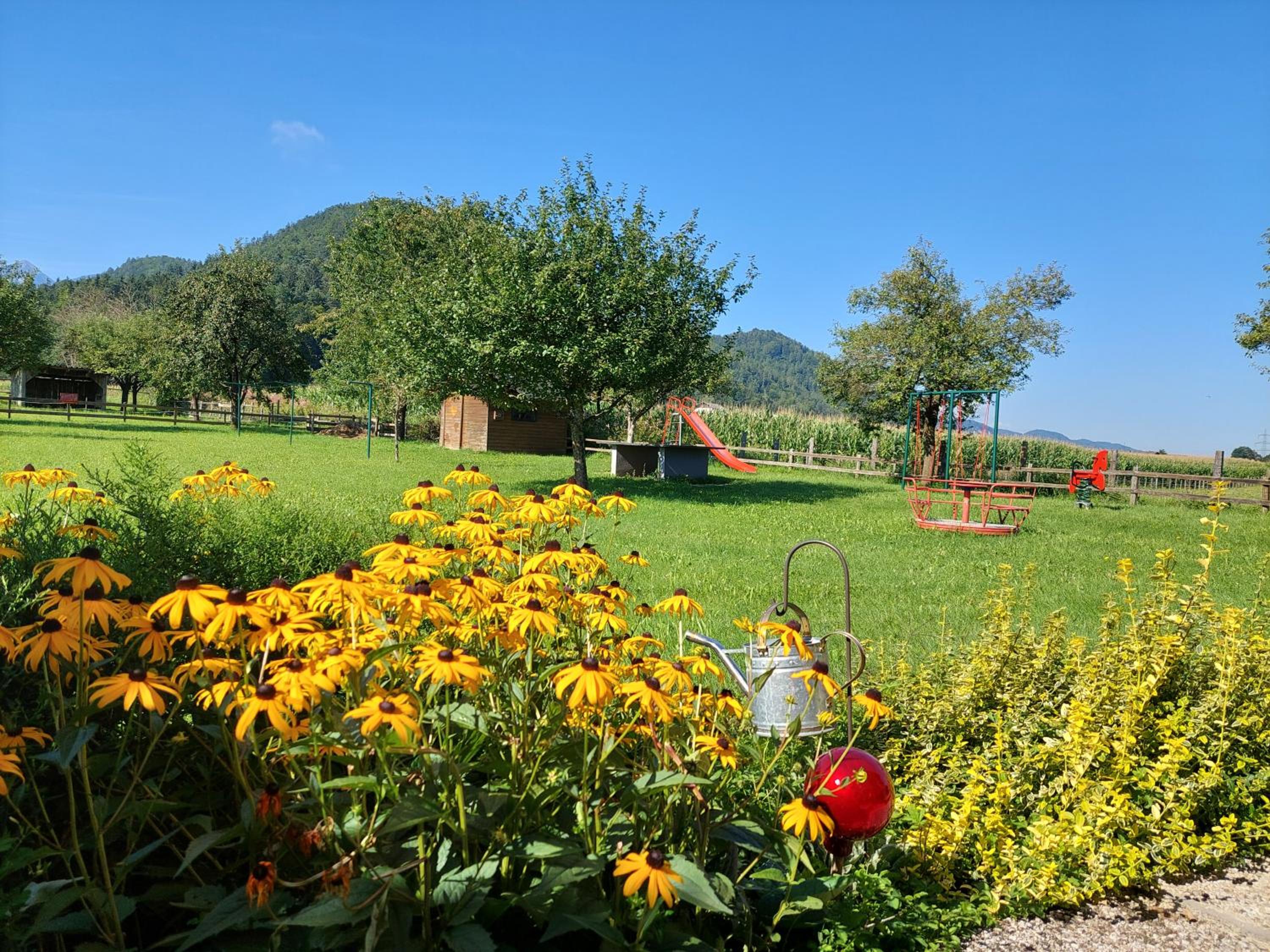 Die Sonnenblume