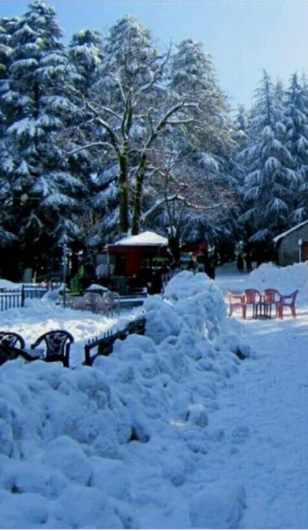 Murree Oaks Tulip Block view 2