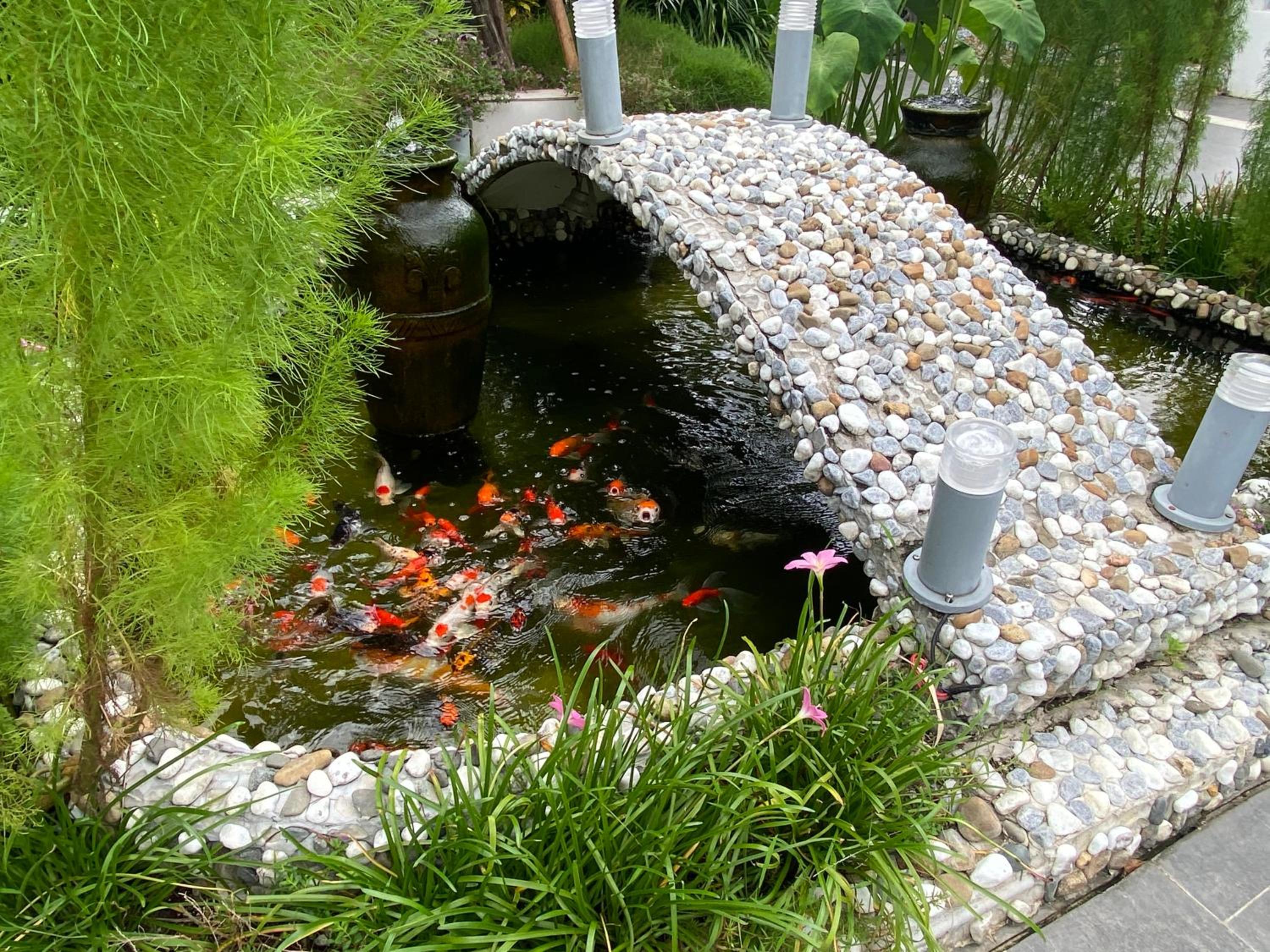 Ngoc Trai Xanh Bungalow view 3