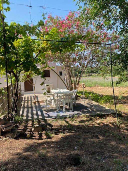 Casa La Fineta view 5