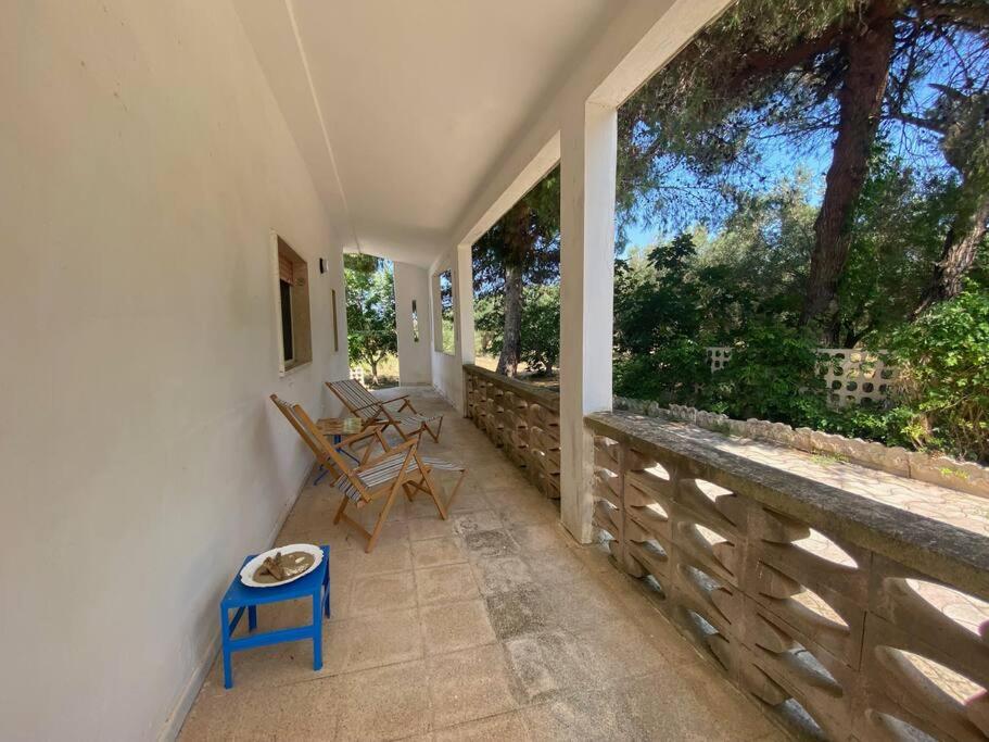 Casa La Fineta view 2