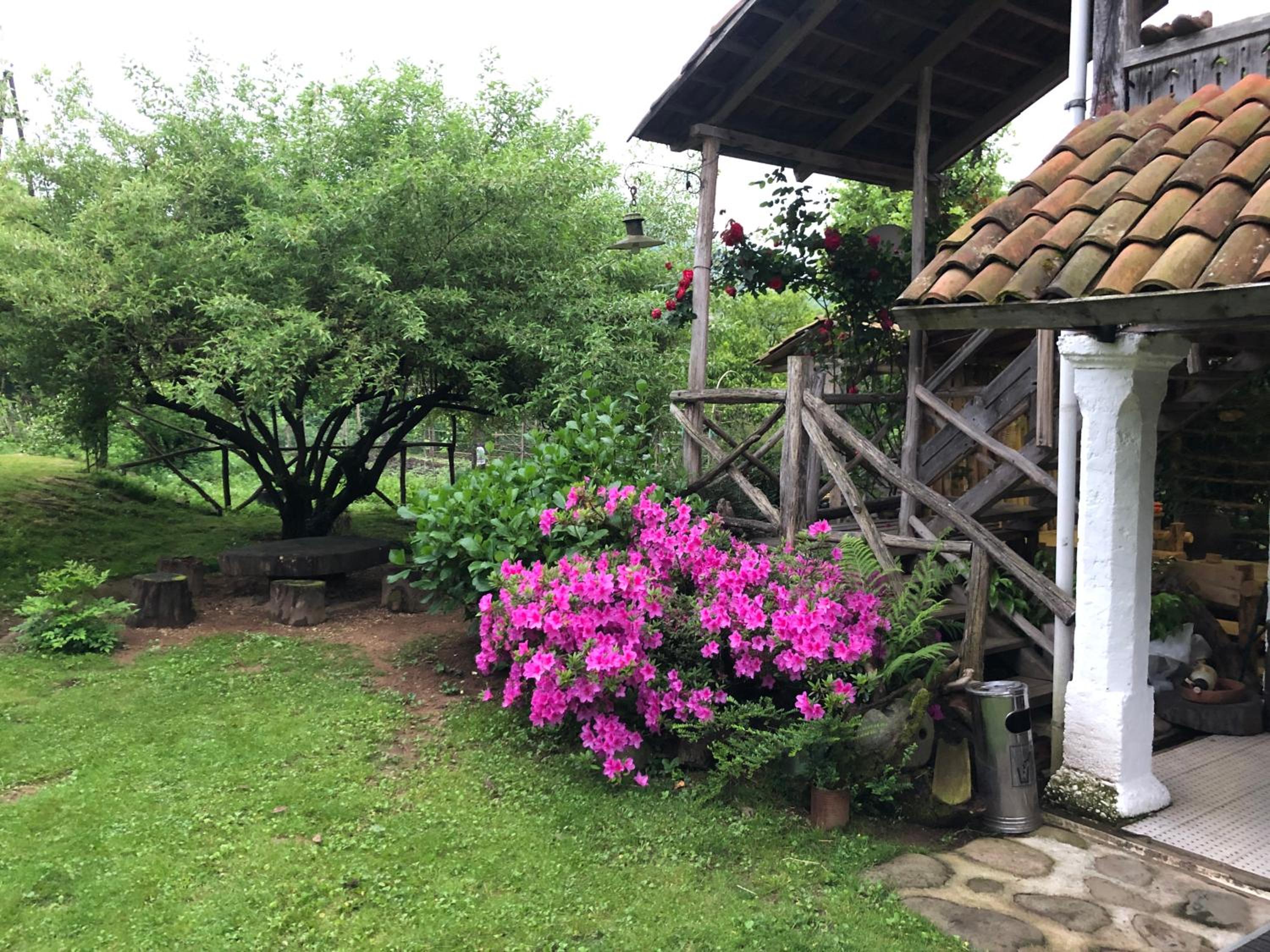 Photo 14