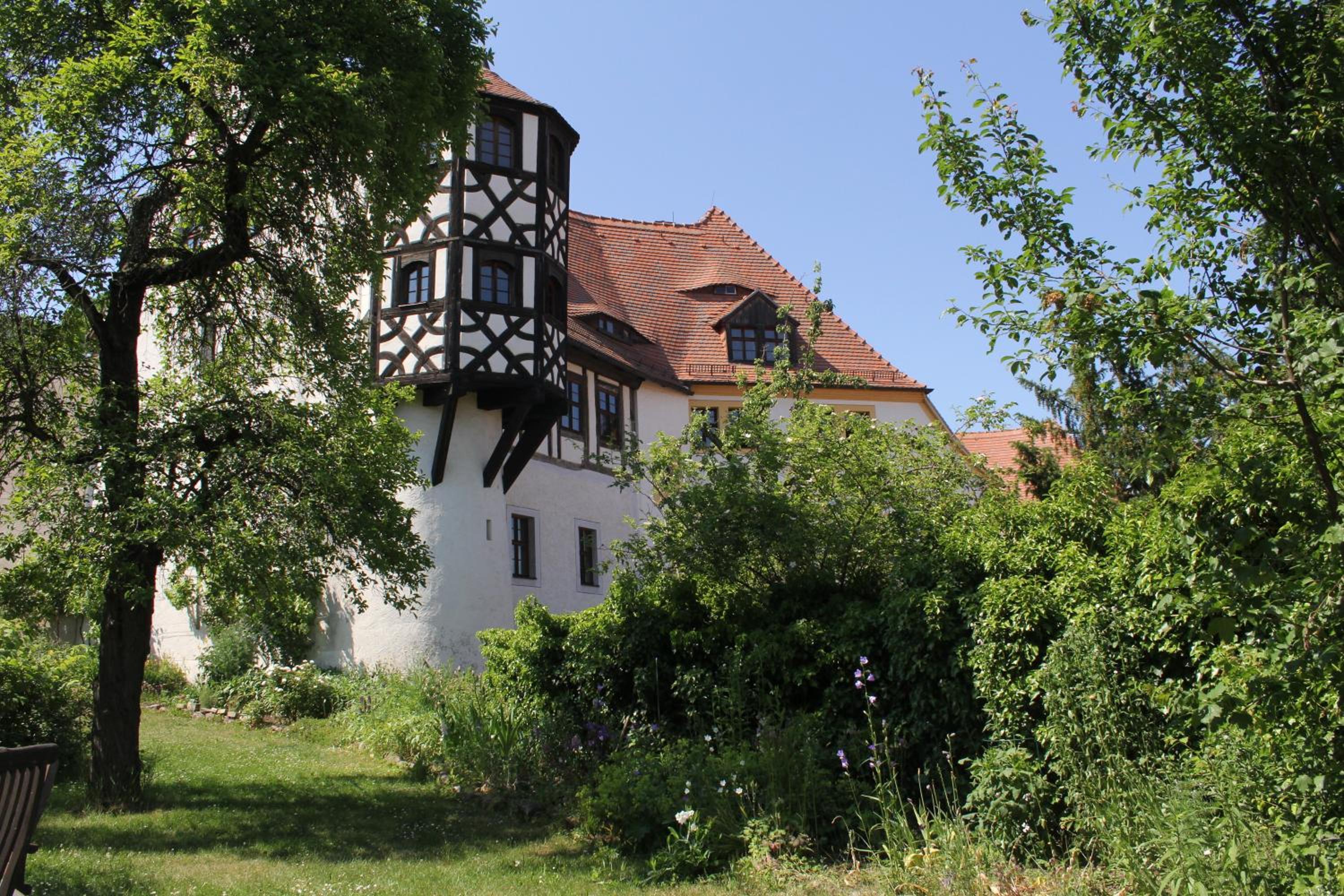 Photo 11