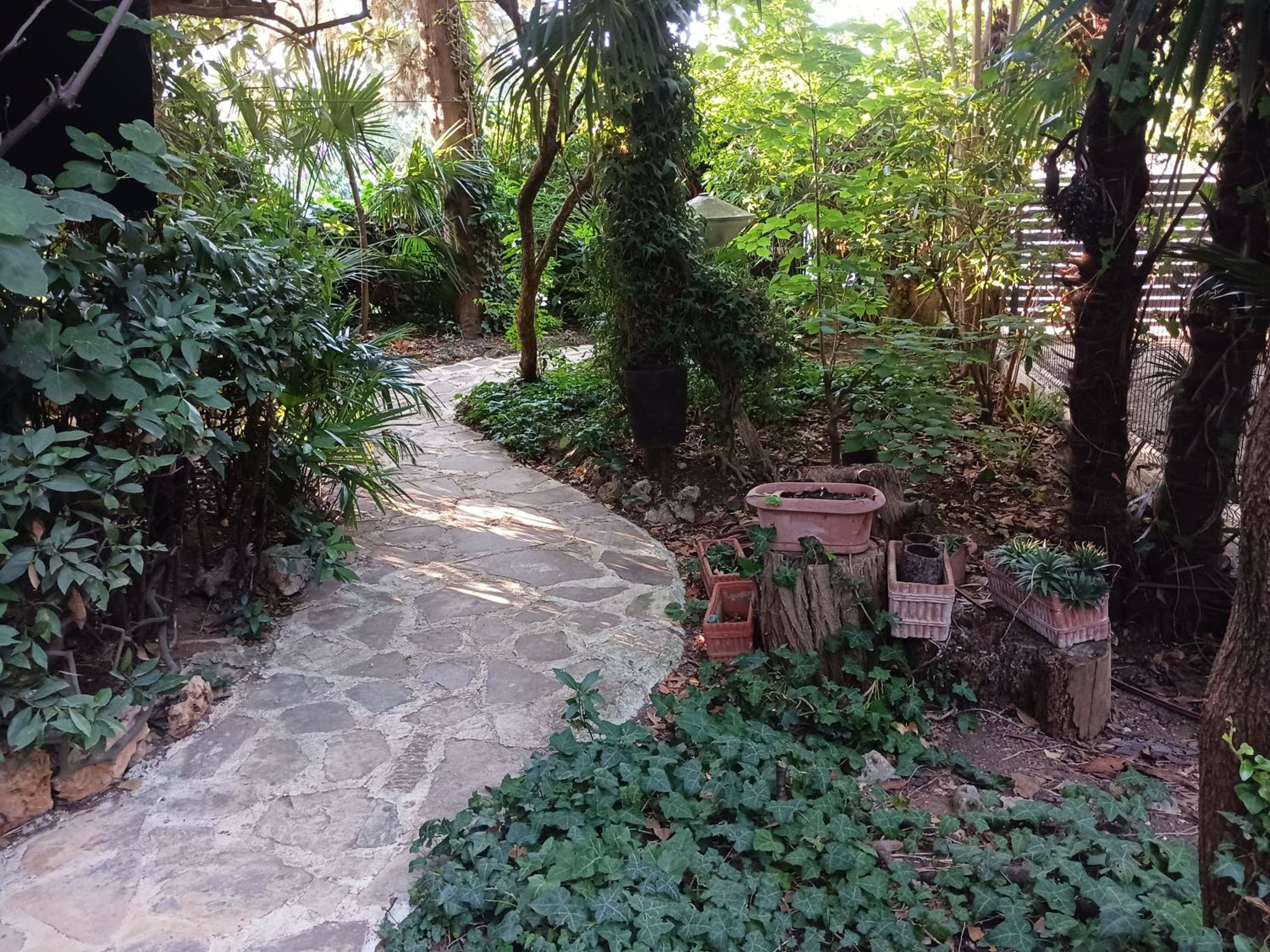 Photo 23